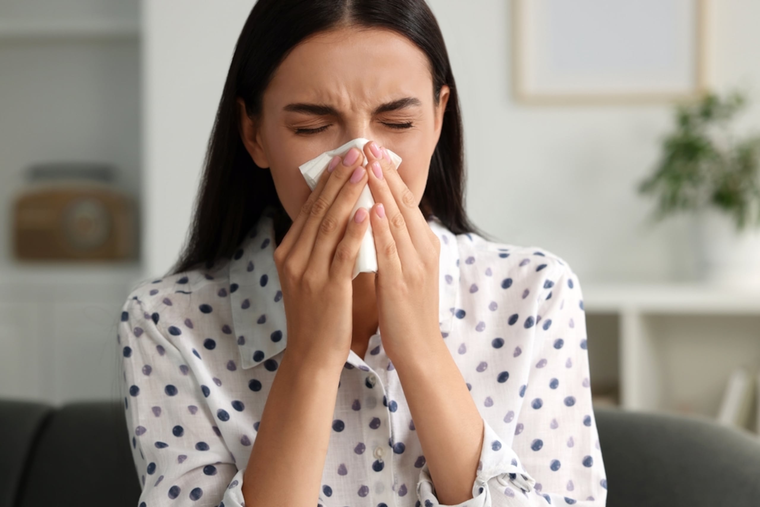 La alergia nasal, la dermatitis atópica y el asma son las más comunes en Puerto Rico.