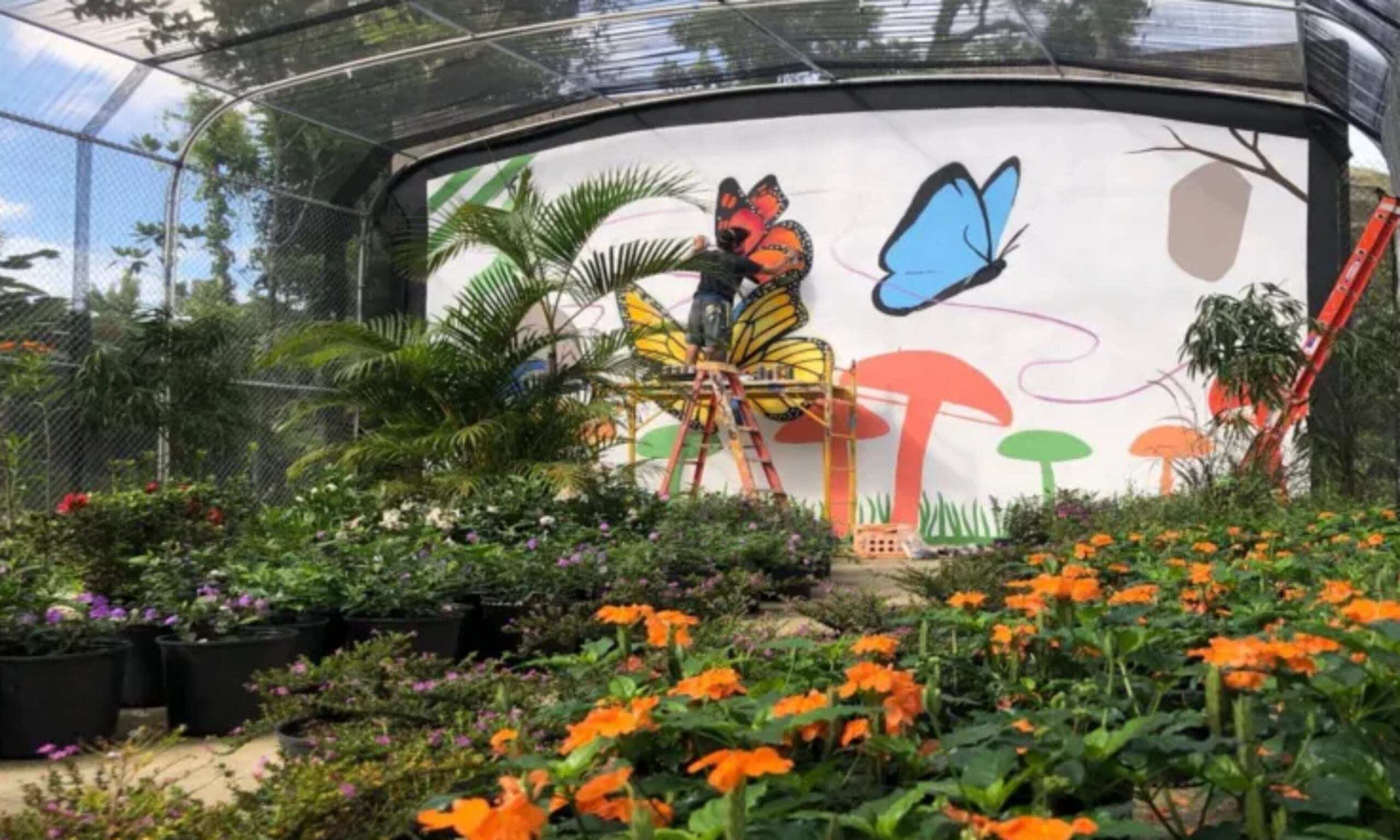 El robo se reportó en el mariposario El Trece de Vega Baja.