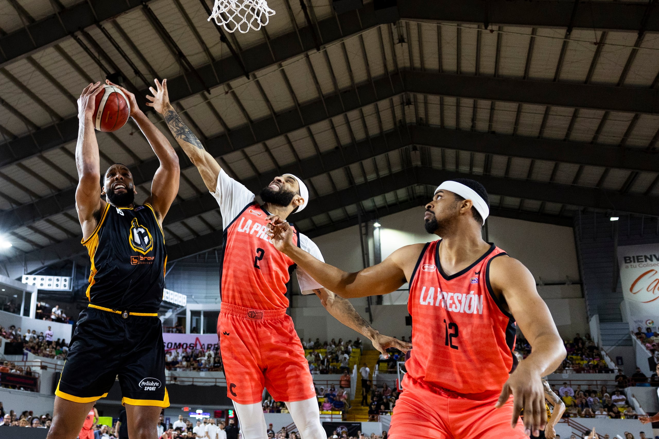 Los únicos dos equipos clasificados a la postemporada que podrán jugar con sus plantillas de todo el año son los Capitanes de Arecibo de Jahlil Okafor y los Criollos de Caguas de Onzie Branch y Devon Collier. Igualmente estarían intactos los Cangrejeros de Santurce o los Indios de Mayagüez, si reclaman el boleto final.