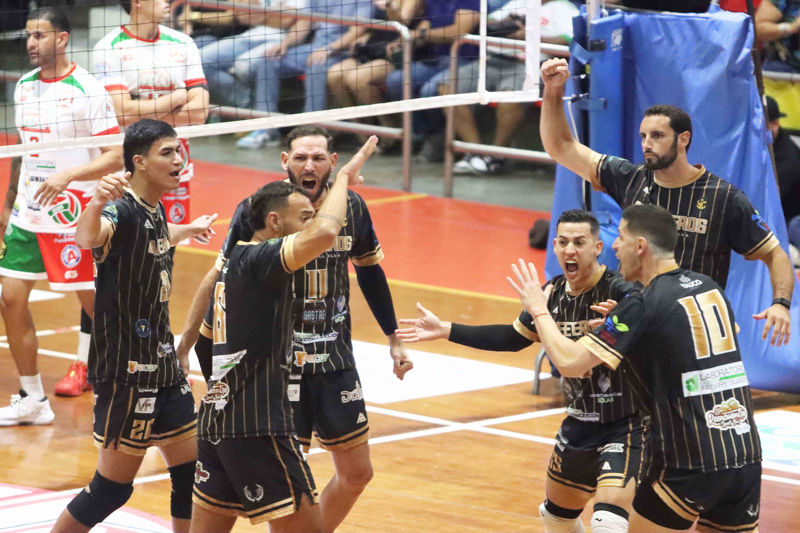 Los Cafeteros de Yauco, campeones de la pasada campaña.