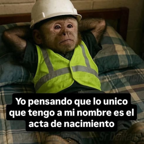 Los mejores memes de la semana