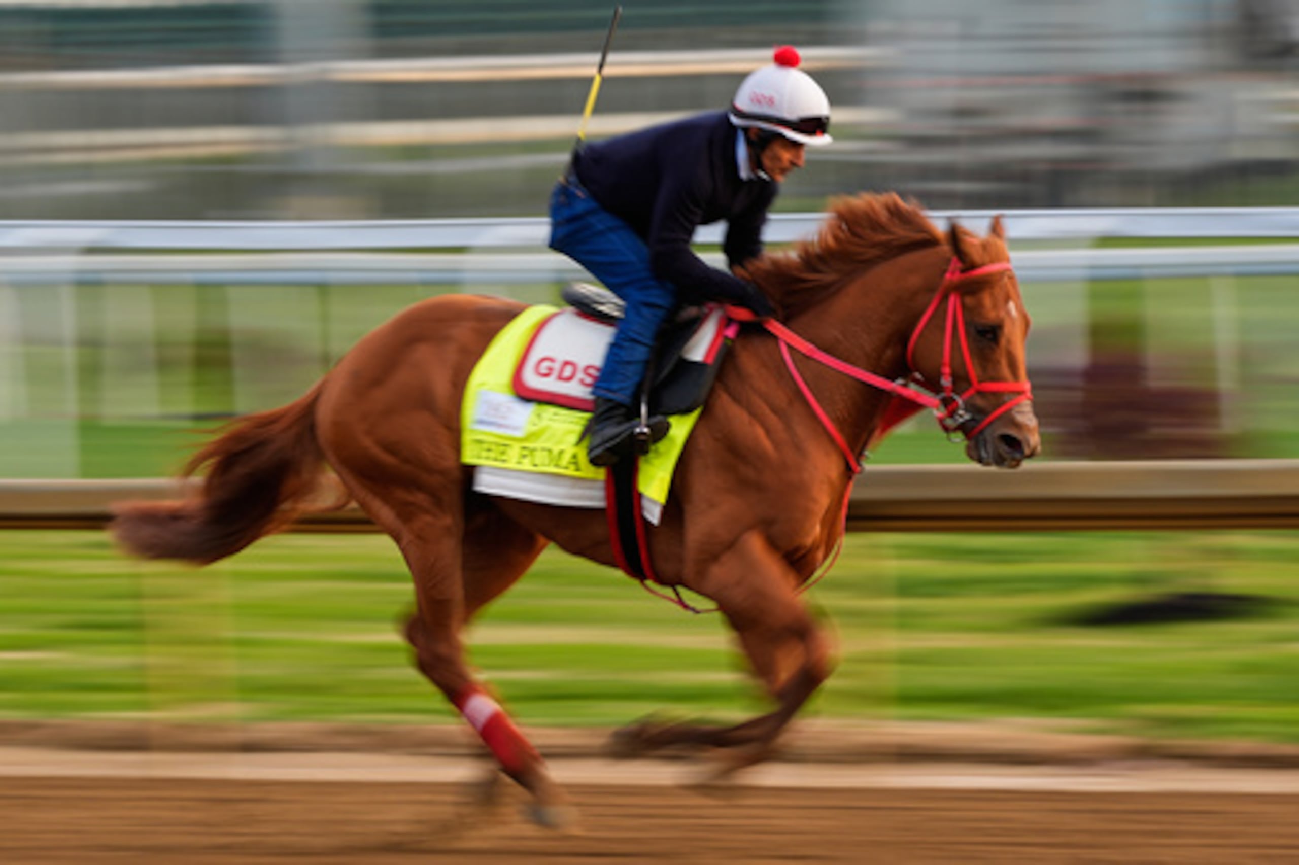 El Puma, participante en el Derby de Kentucky, se ejercita en Churchill Downs el viernes 1 de mayo de 2026, en Louisville, Ky. (AP Photo/Charlie Riedel)