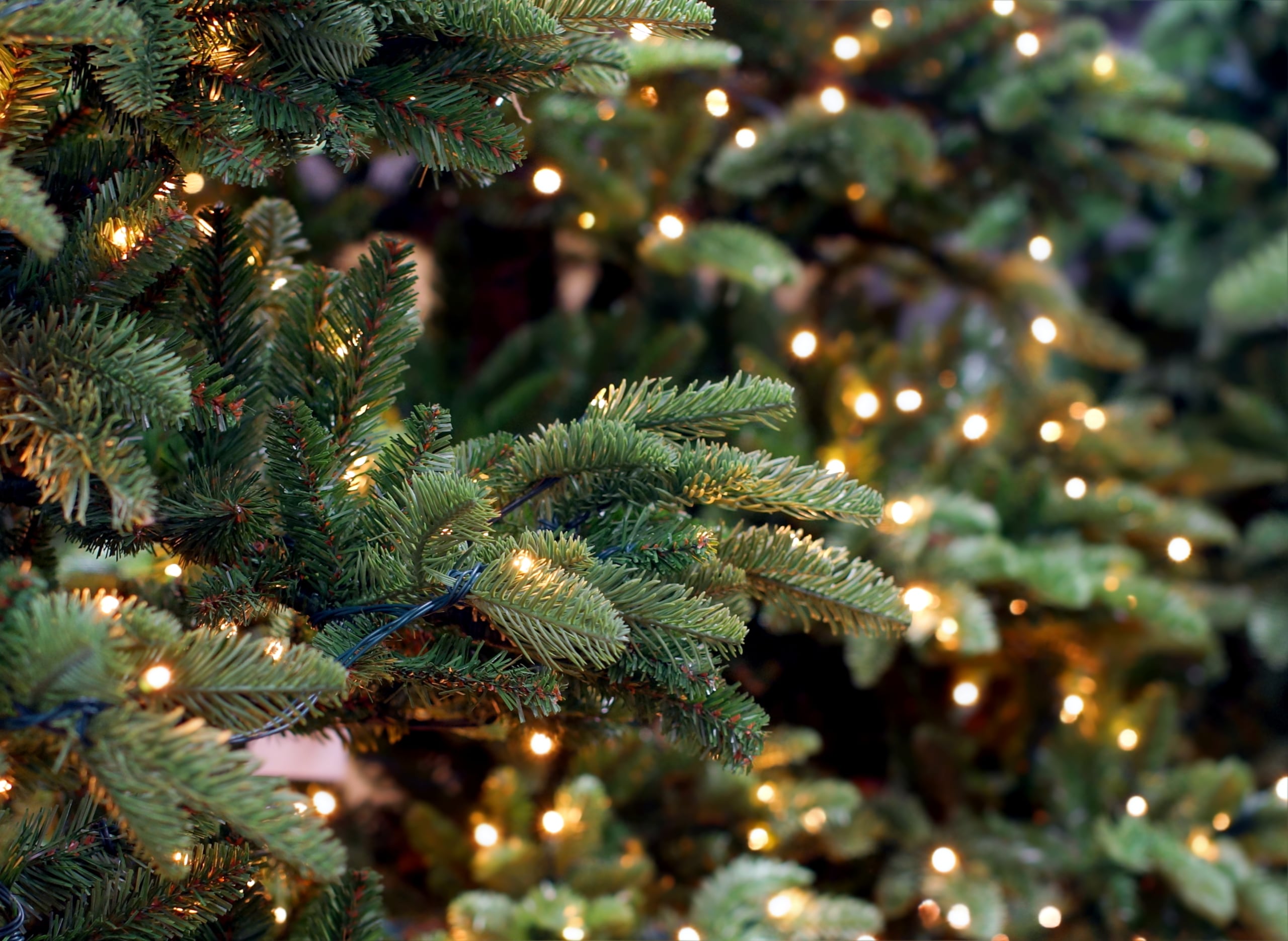 Un árbol de Navidad.