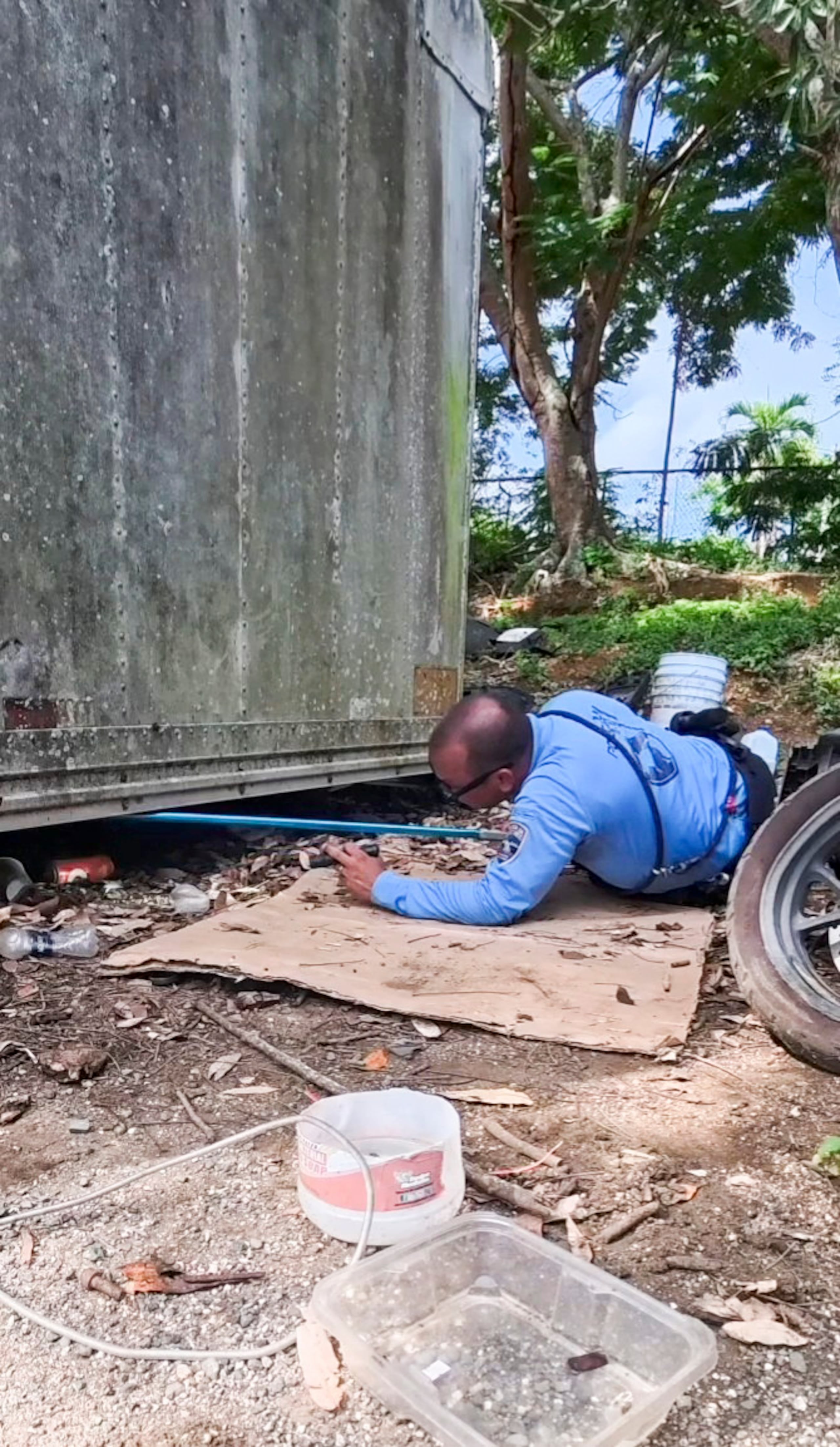 Siete perritos y su madre fueron rescatados debajo de un vagón en el estacionamiento de la División de Patrullas de Carreteras de Arecibo.