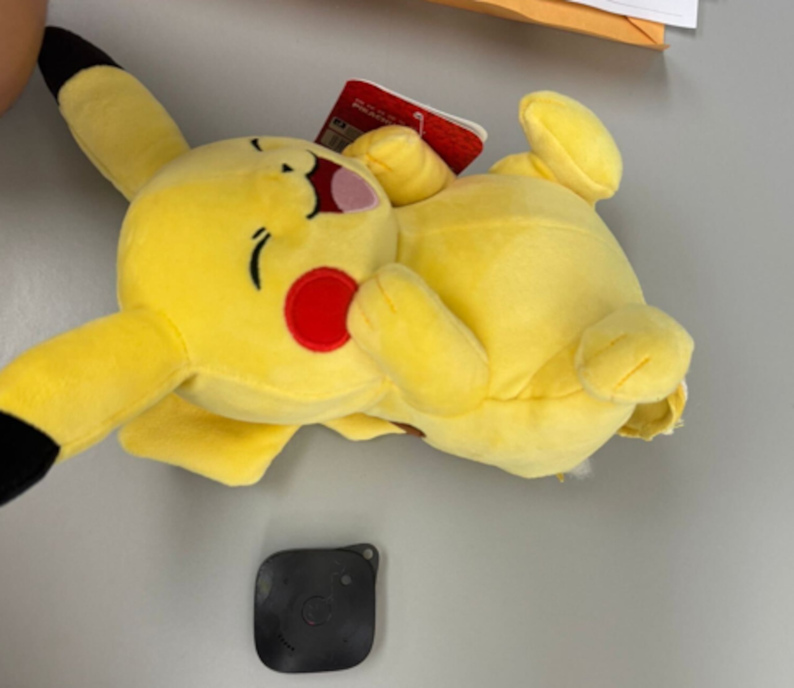 El peluche donde se habría escondido el dispositivo GPS.
