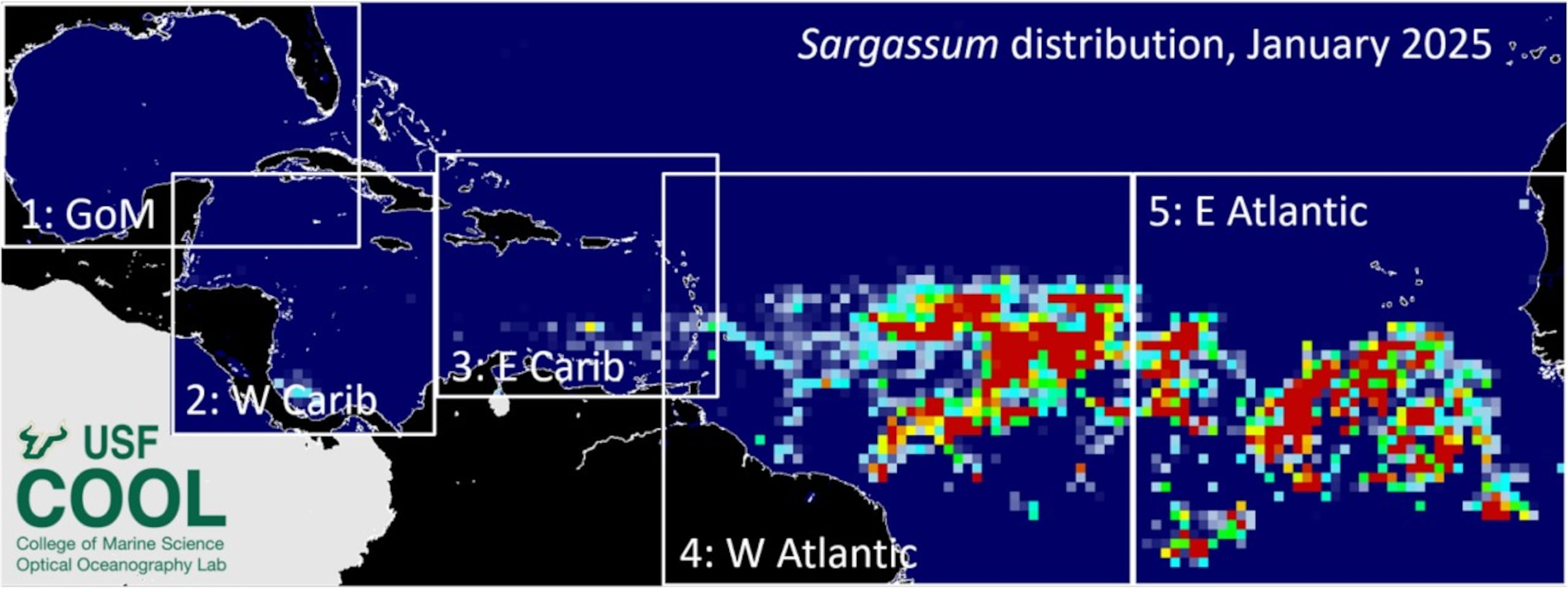 Imagen satelital del parcho de sargazo que se acerca a Puerto Rico.