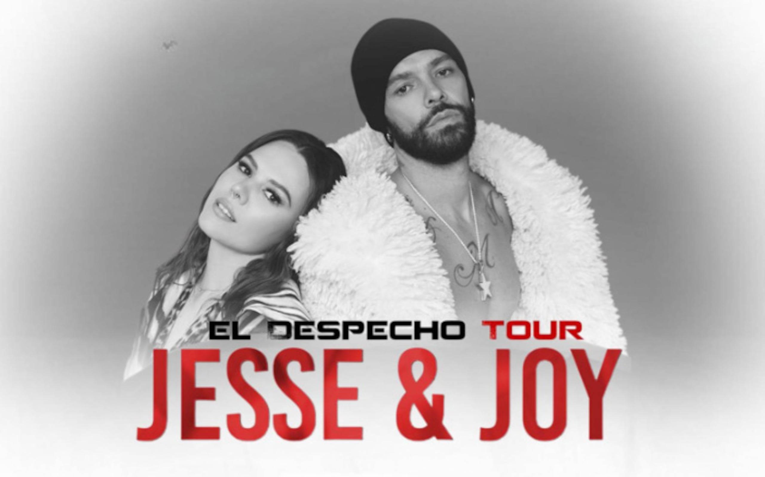 Jesse & Joy
