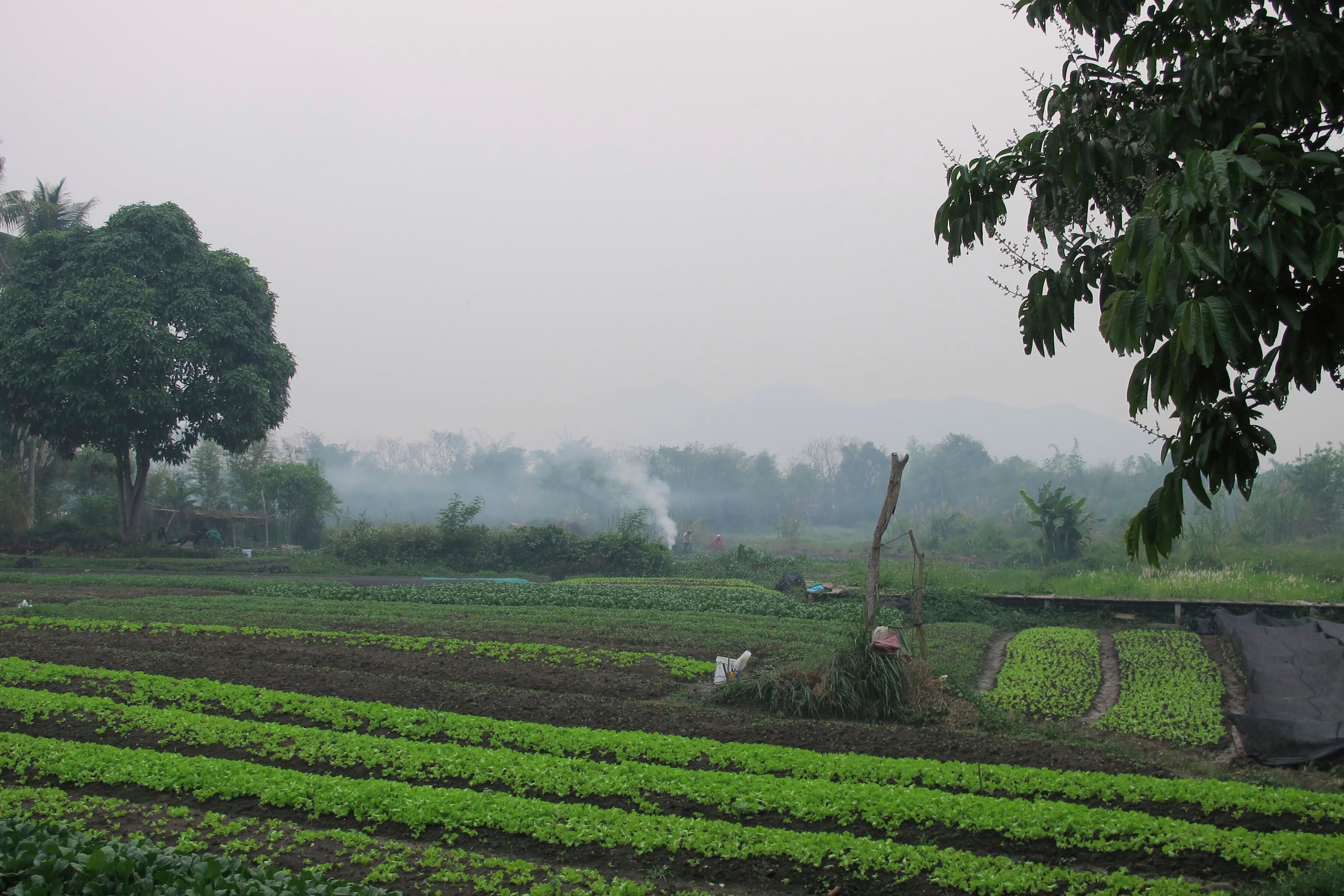 El ataque ocurrió en Laos.
