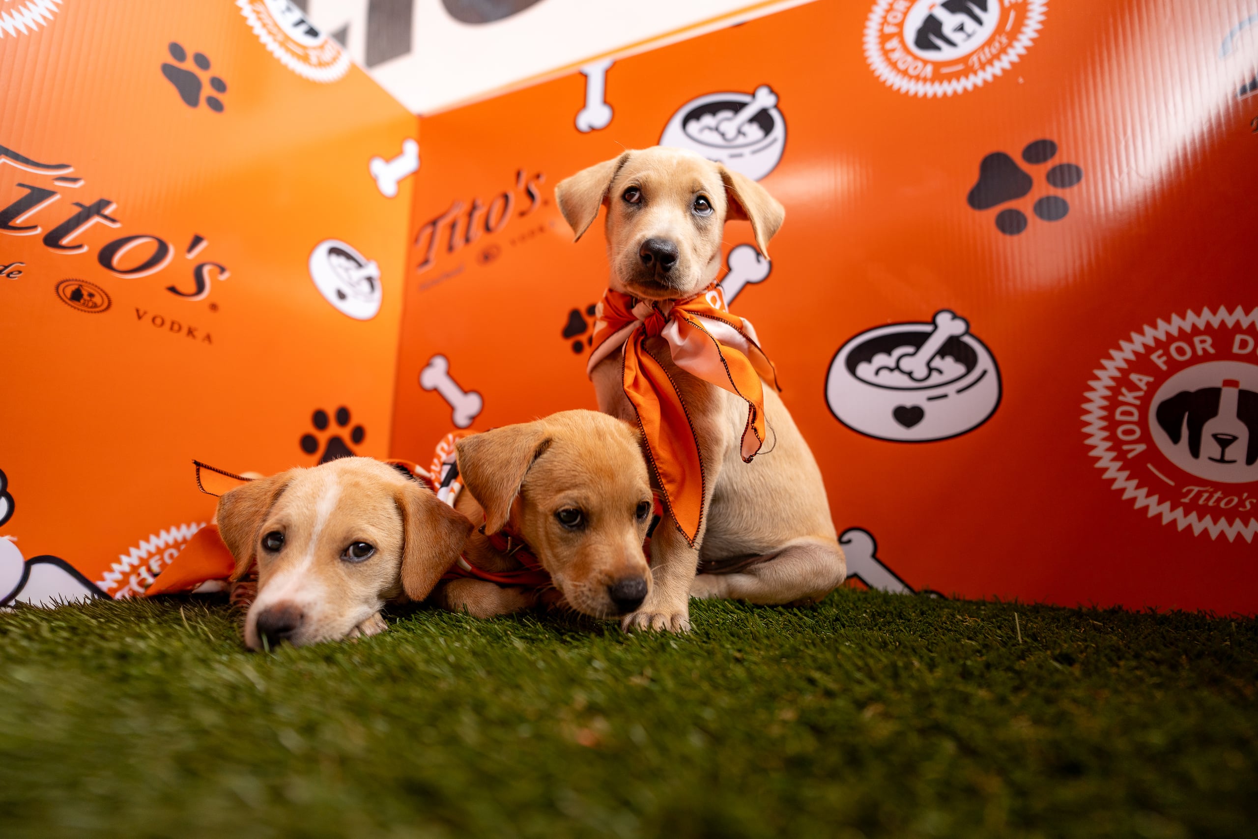 La actividad se realizará el próximo sábado, 12 de abril en Patria Yards, ubicado en el Distrito de Convenciones.