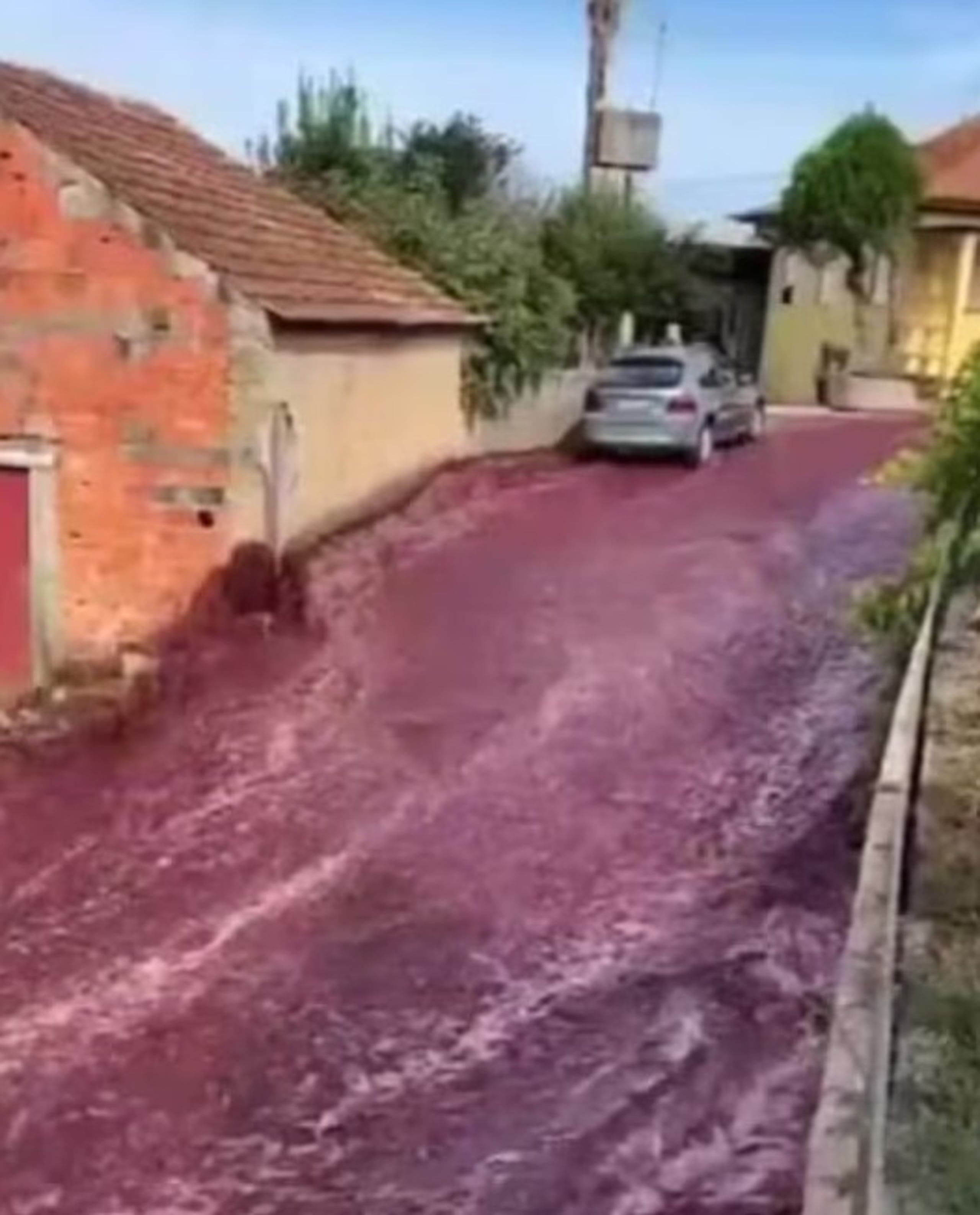 Todo sucedió en São Lourenço do Bairro