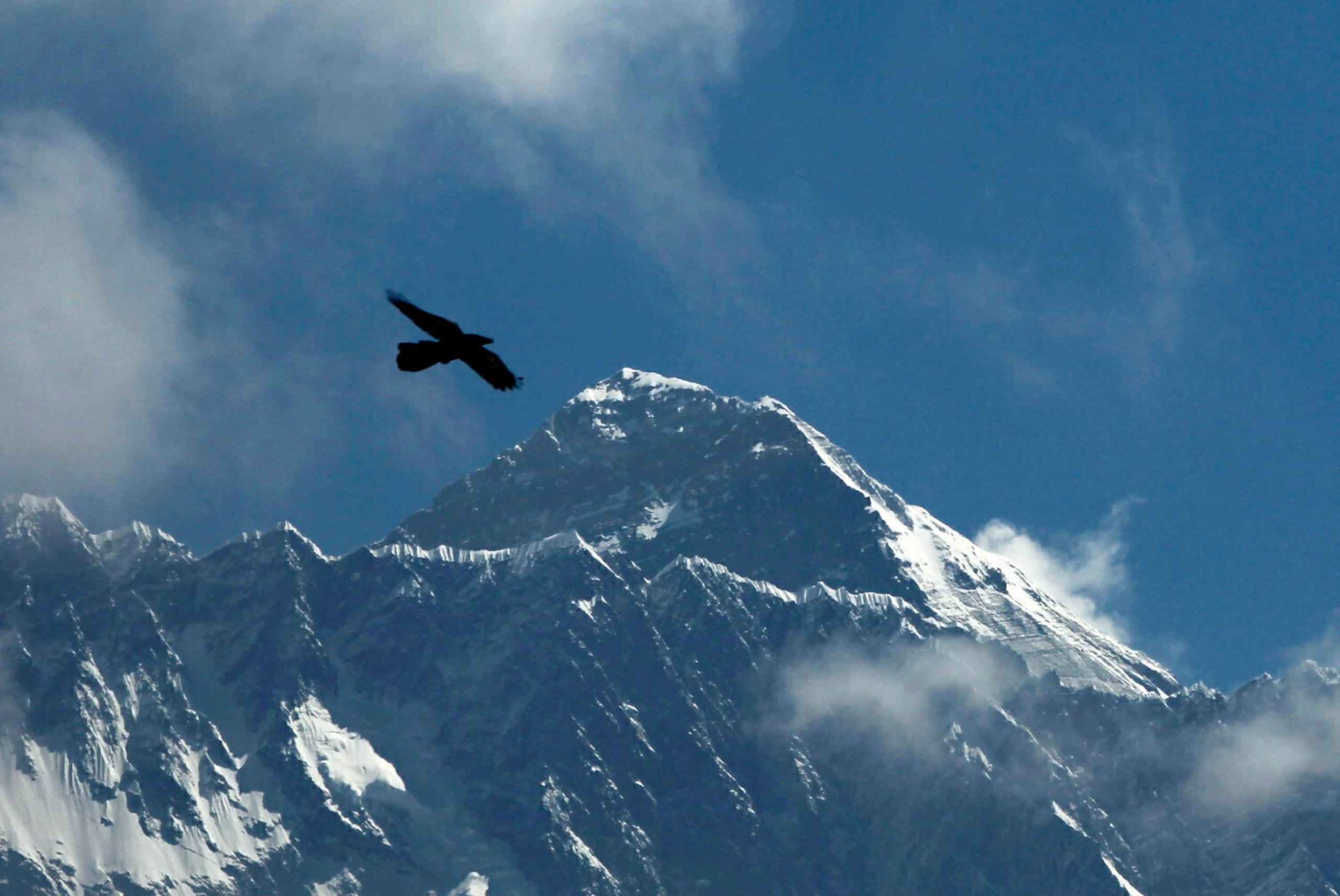 Un pájaro vuela en el fondo del Everest, visto desde Namche Bajar, distrito de Solukhumbu, Nepal, el 27 de mayo de 2019. (AP Foto/Niranjan Shrestha, Archivo)
