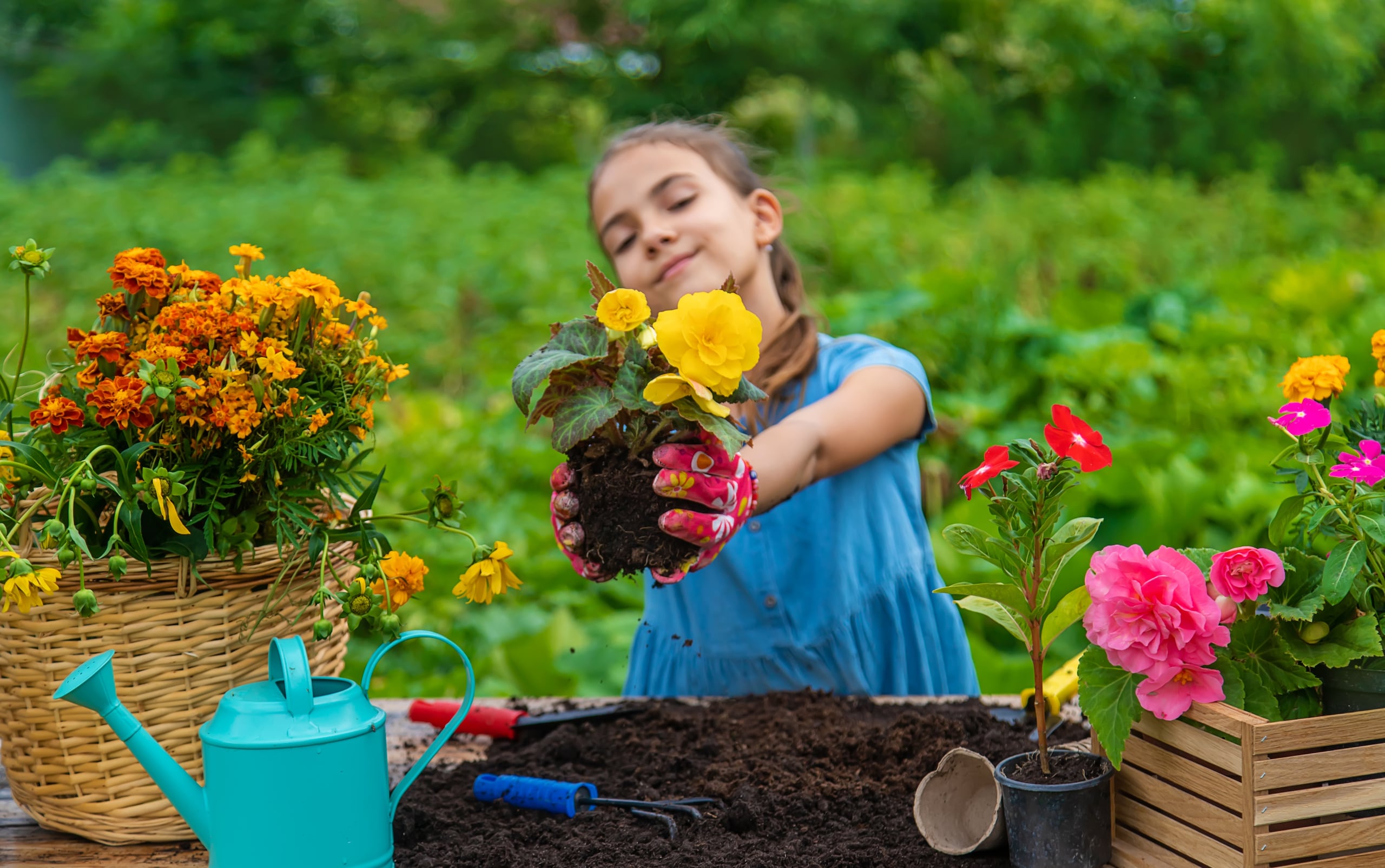 Un gesto pequeño demuestra un amor inmenso. las flores para sembrar en un jardín dicen "gracias" sin palabras y hacen que el Día de las Madres sea inolvidable.