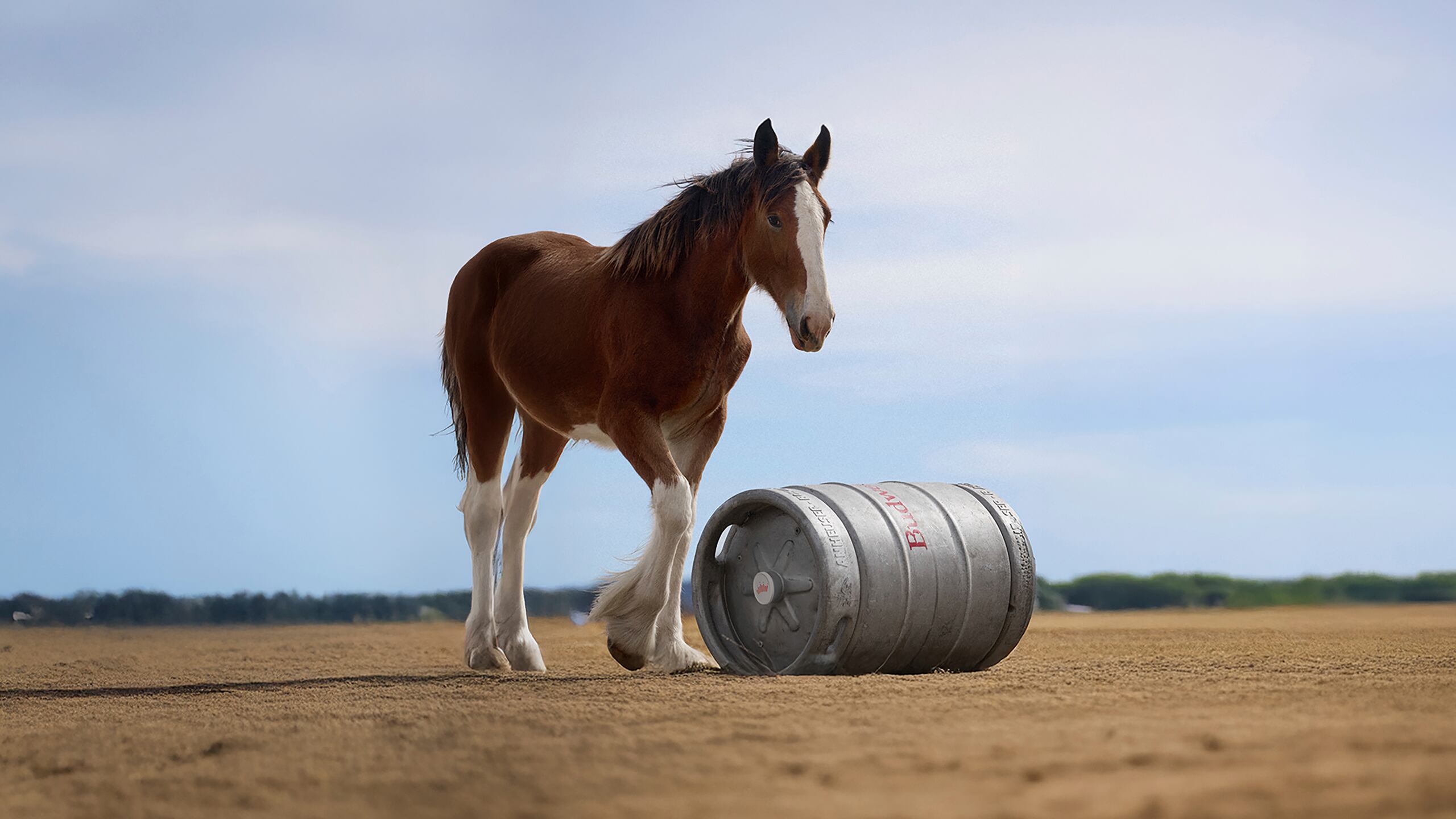 Esta imagen proporcionada por Budweiser muestra una parte de su anuncio para el Super Bowl 2025. (Budweiser vía AP)