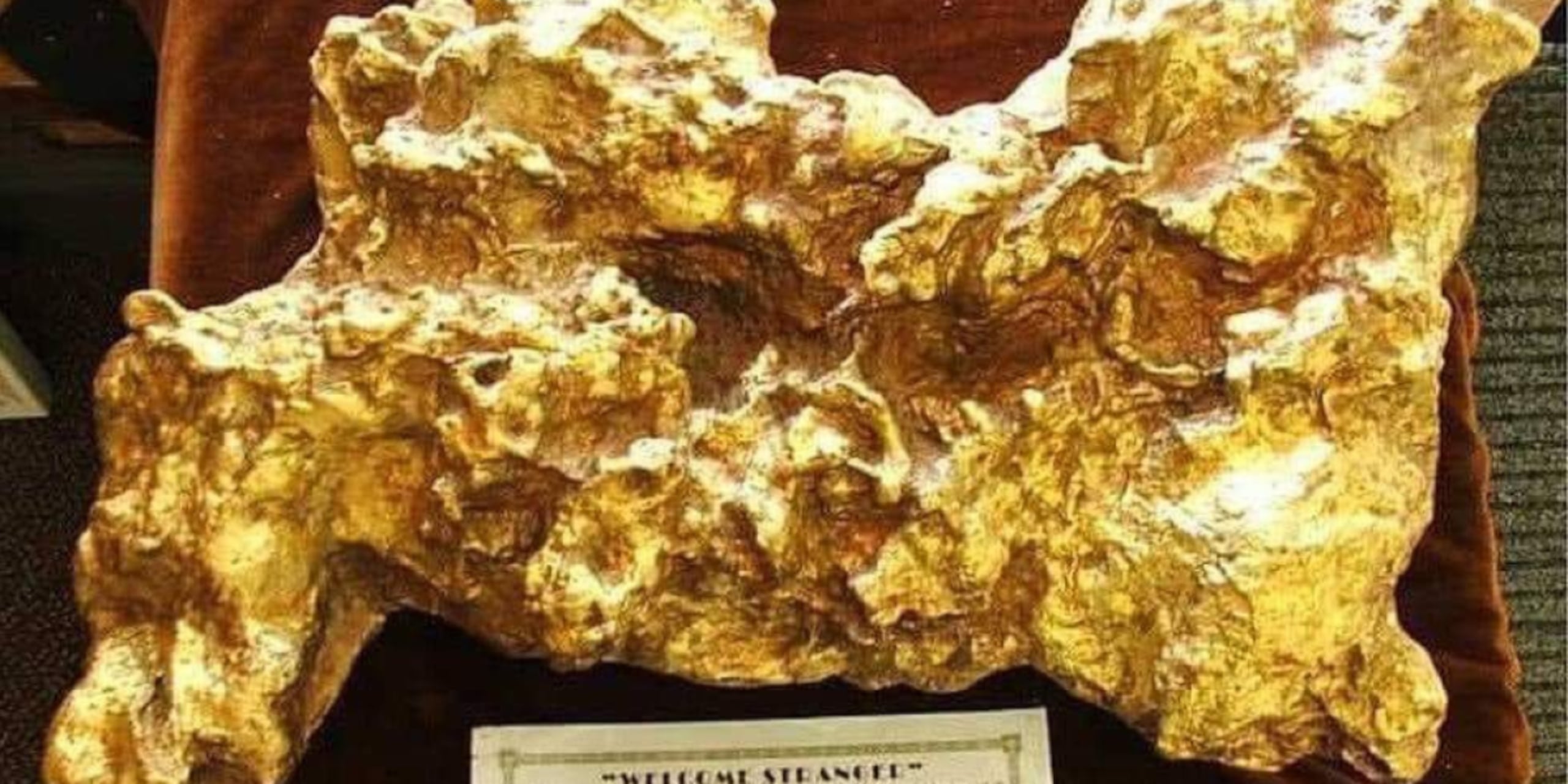 La pepa de oro mas grande del mundo.