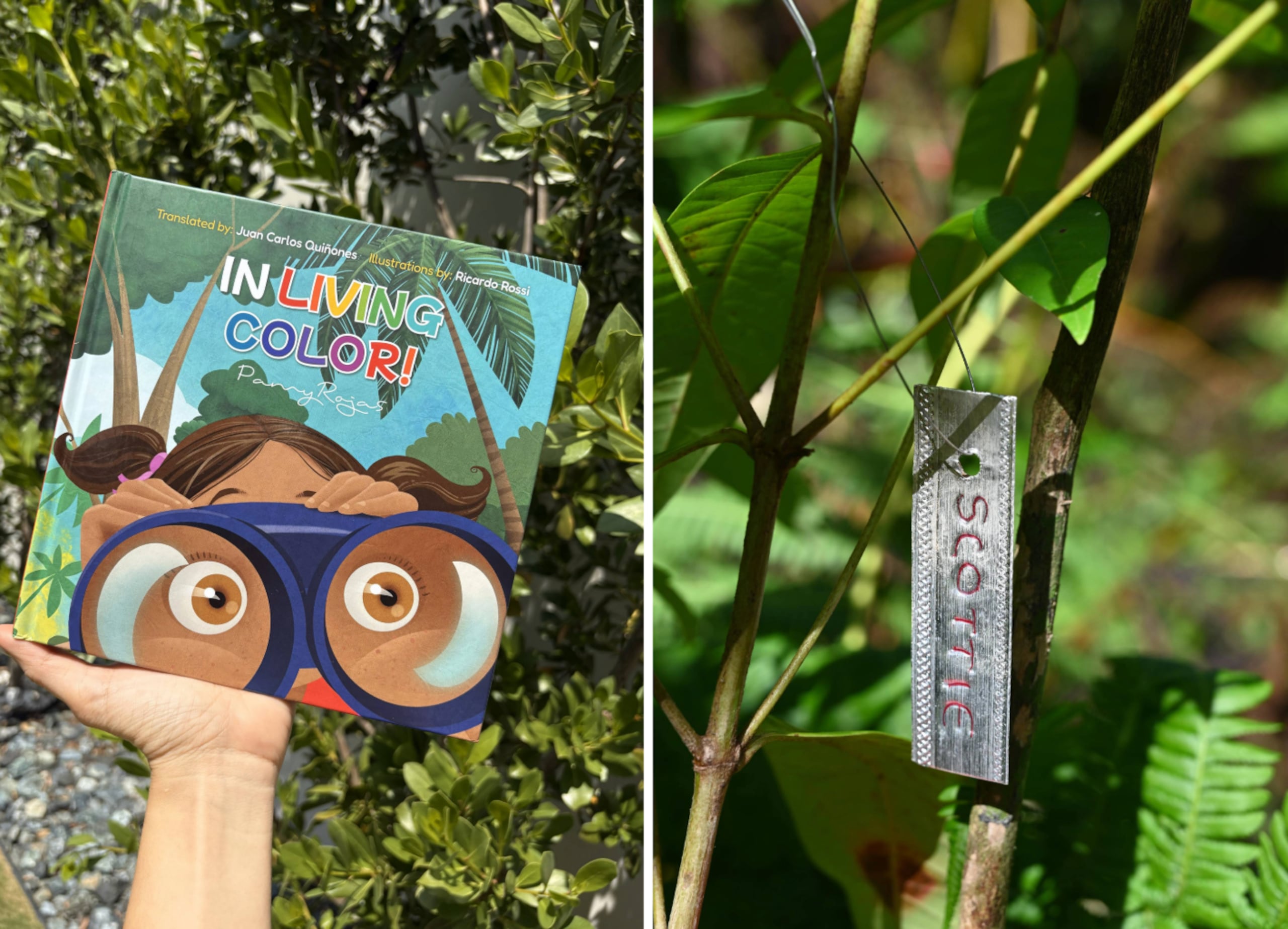 Con la compra del libro ¡En vivo y a todo color! –disponible en español e inglés–, el consumidor podrá nombrar un árbol en la Reserva Natural Cuentos Verdes, en Utuado.