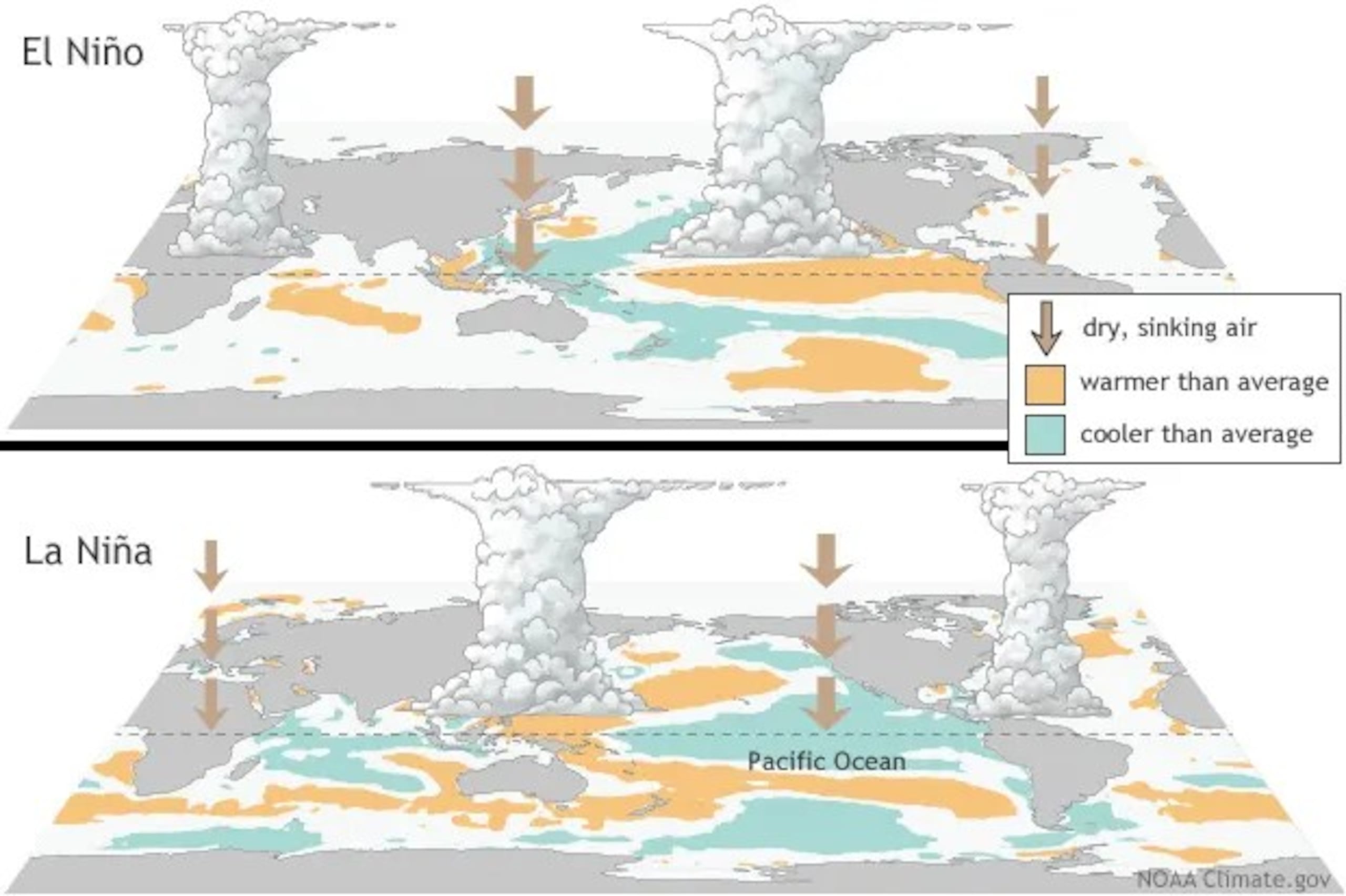 Efecto de El Niño y La Niña (NOAA).