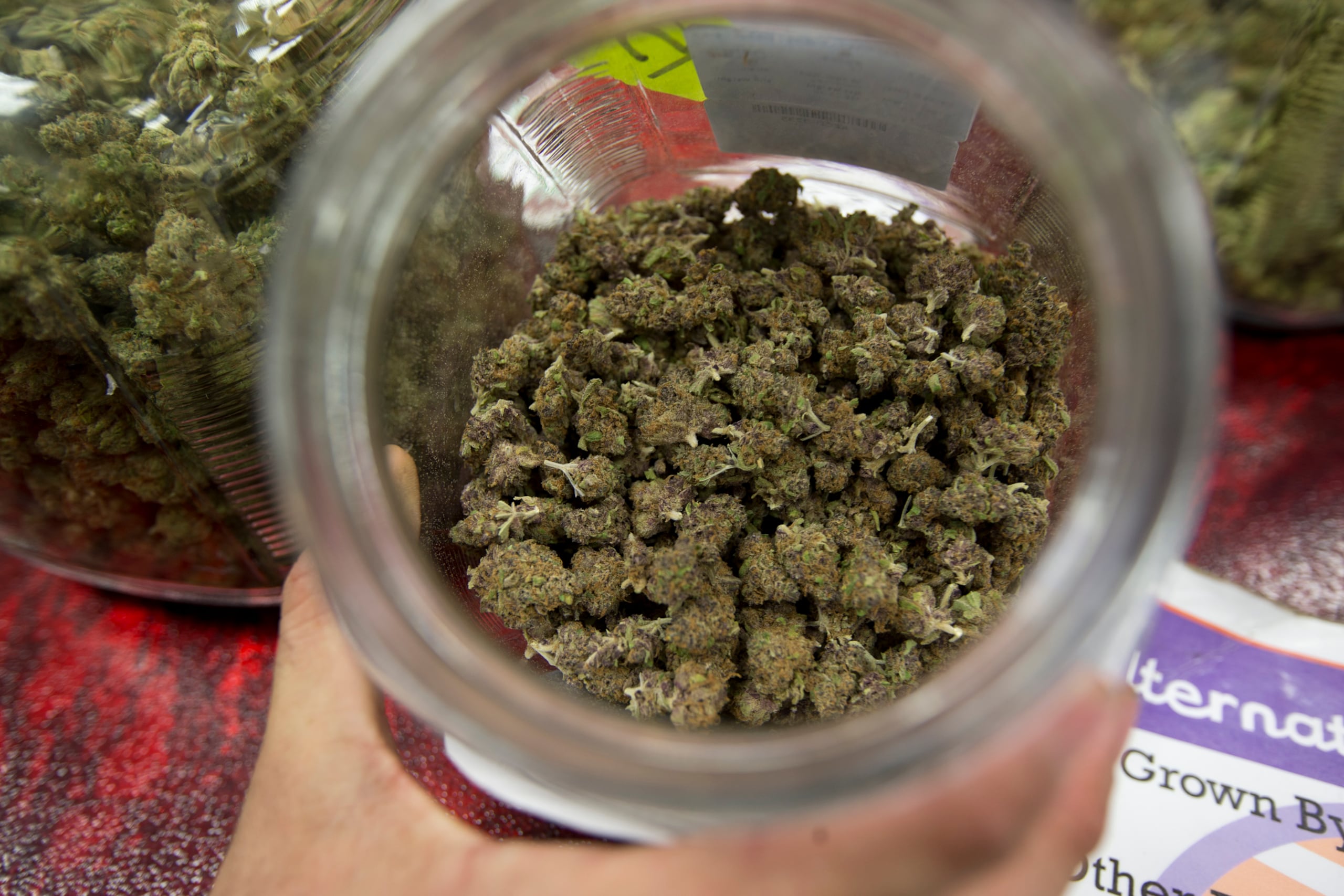 Se robaron una cantidad indeterminada de flor de cannabis. (Archivo / JORGE A. RAMIREZ PORTELA / GFR MEDIA)