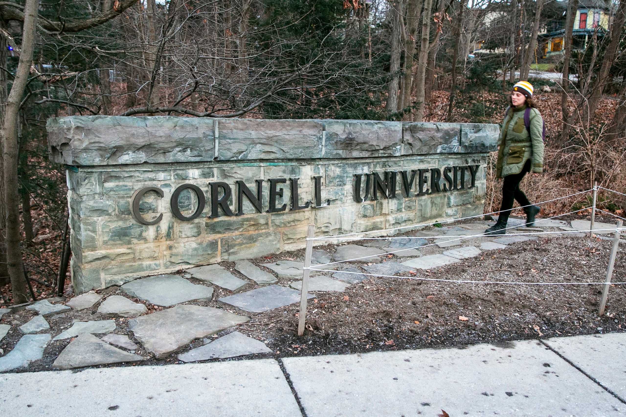 La Universidad de Cornell es parte de la Ivy League.