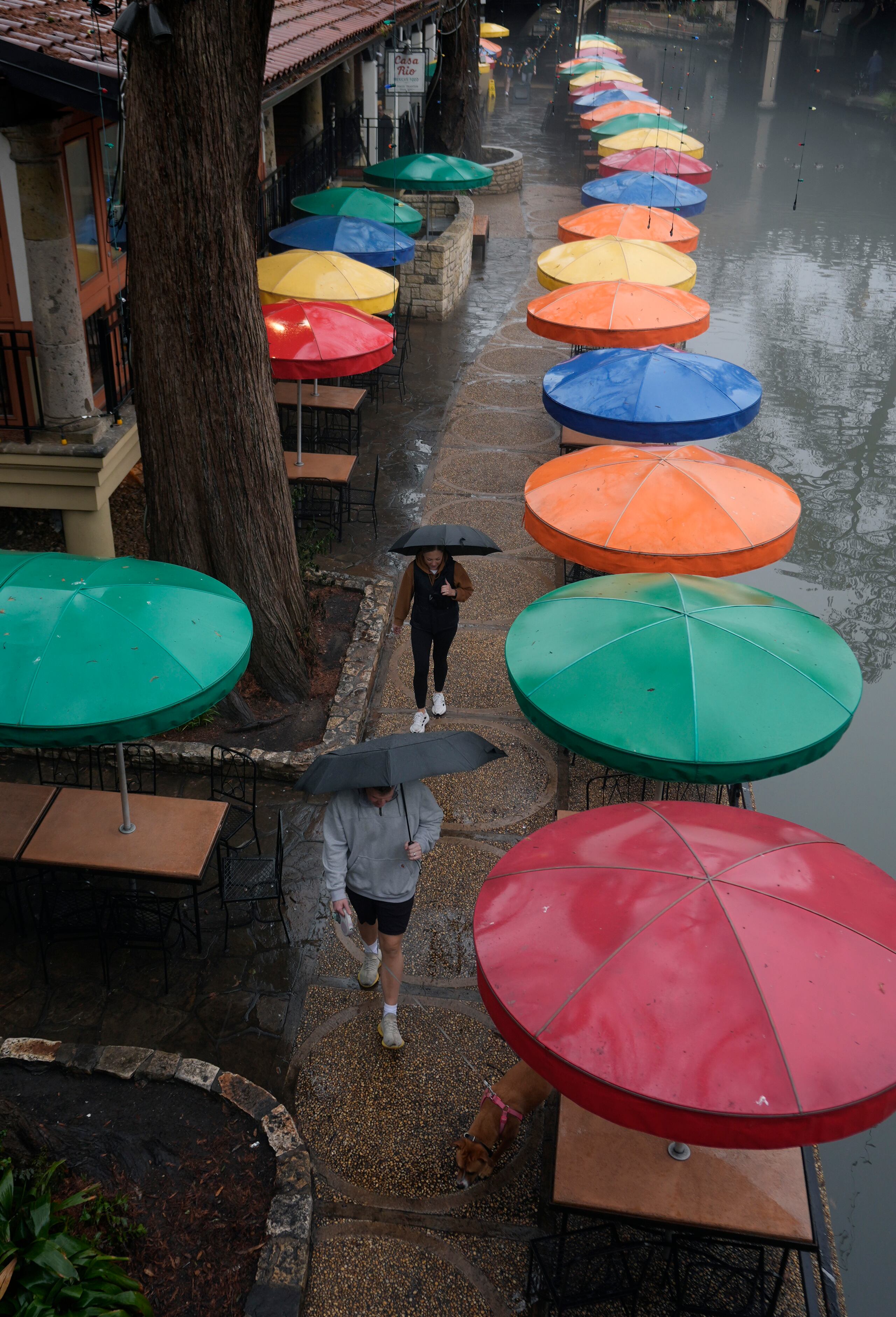 A couple walk their dog along the River Walk during a drizzle, Tuesday, Jan. 23, 2024, in San Antonio. (AP Photo/Eric Gay)
