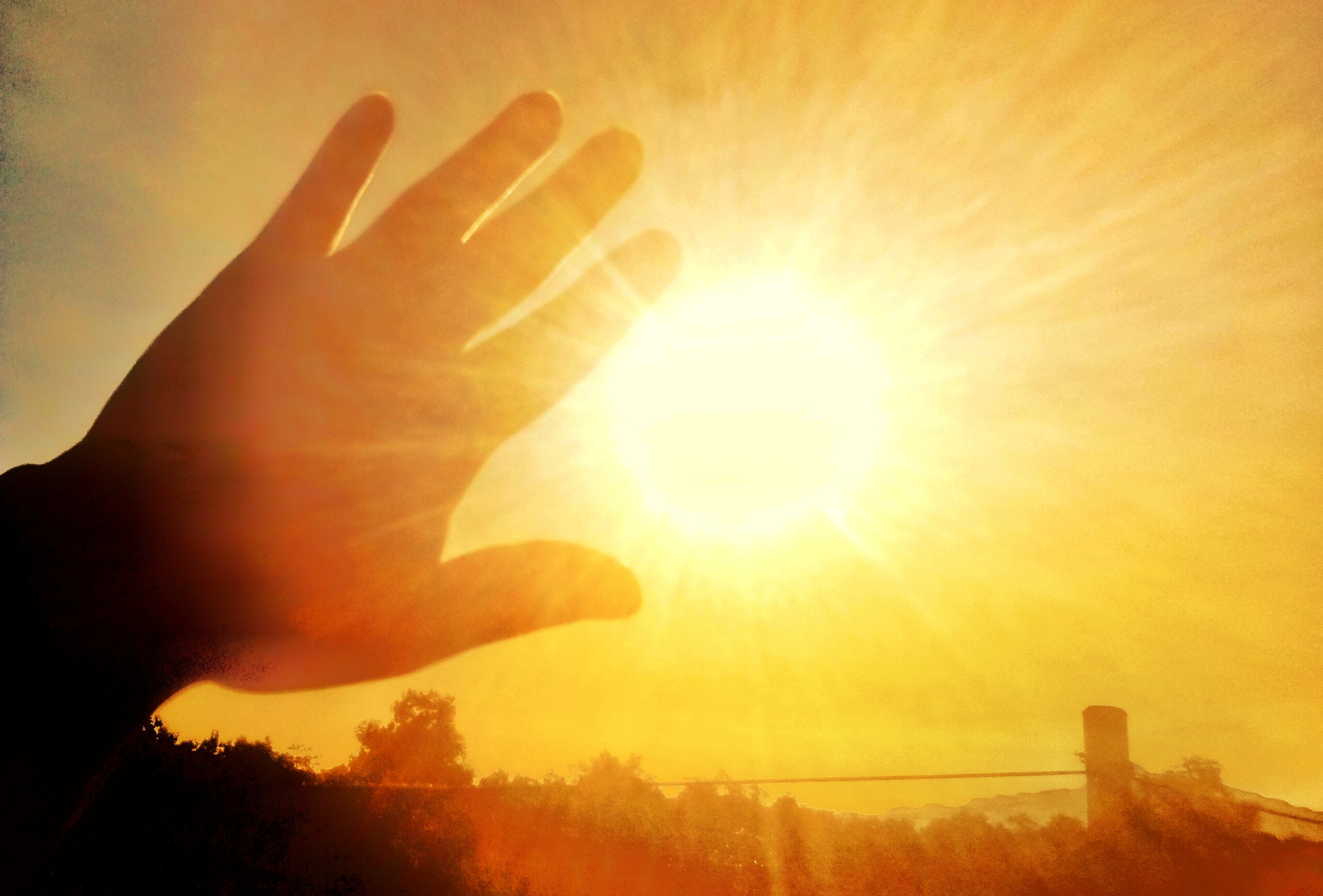Expertos en ciencias ambientales y salud discutirán los riesgos asociados con las altas temperaturas, los modos de mitigar sus efectos y posibles soluciones.