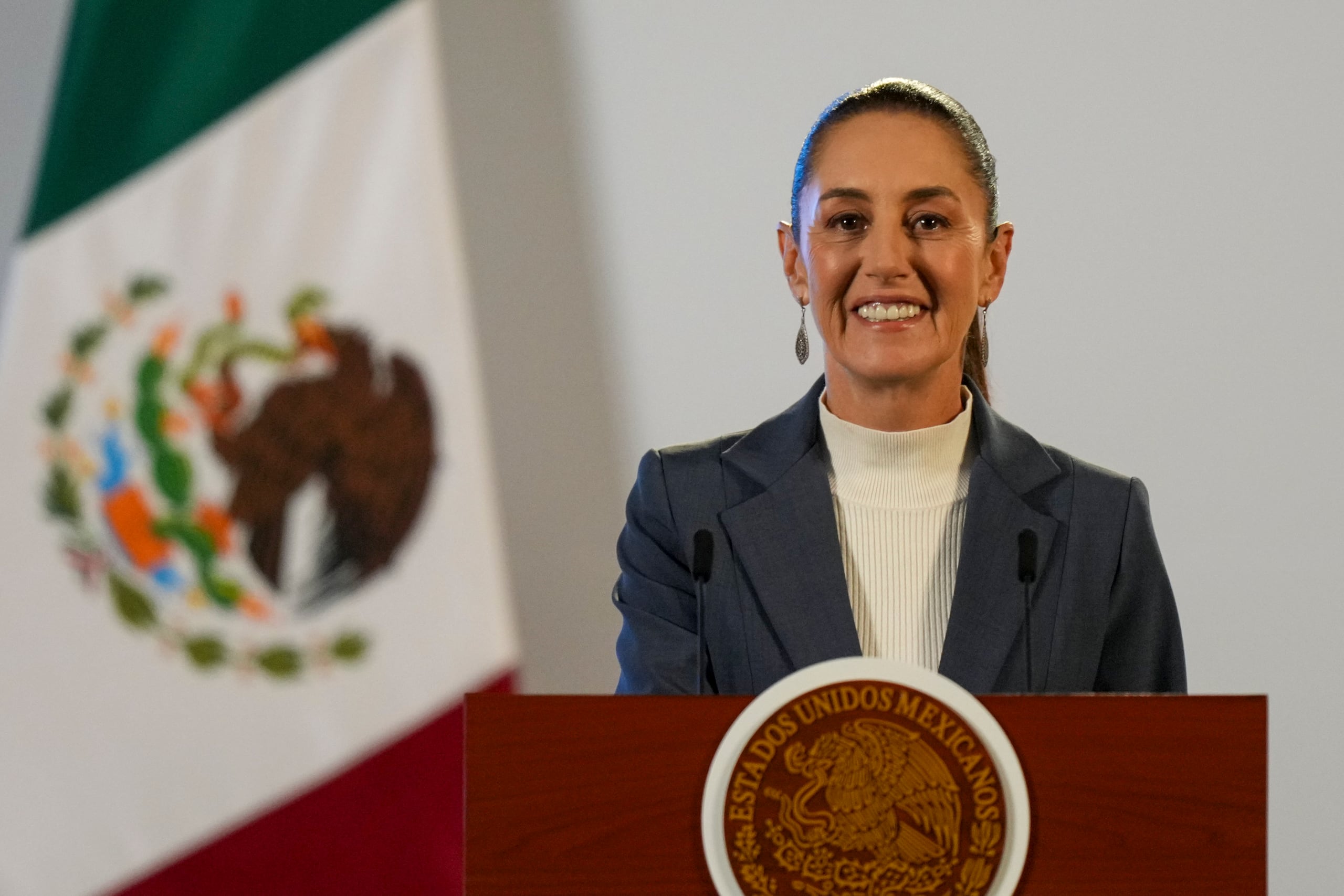 Los mexicanos son cerca de la mitad de los 11 millones de indocumentados y sus remesas representan casi el 4 % del producto interior bruto (PIB) de México, que este año tendría un récord estimado de 65,000 millones de dólares.