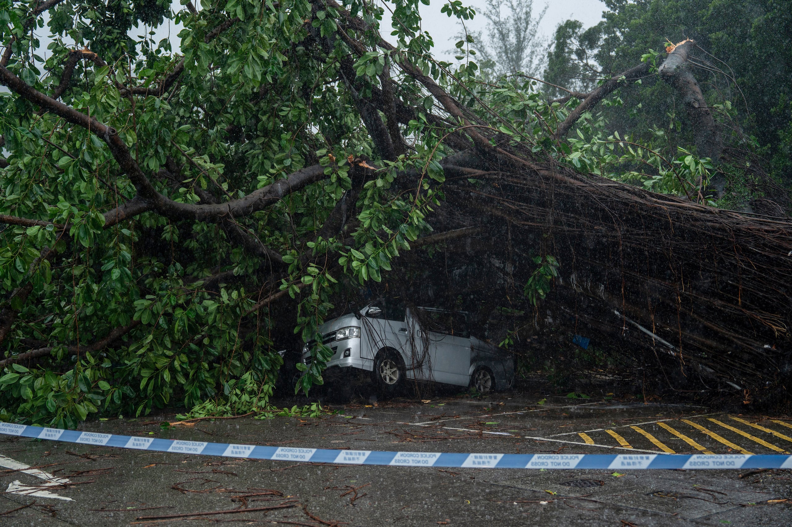 Los fuertes vientos derribaron árboles en Zhuhai y otras ciudades de la costa sur de China.
