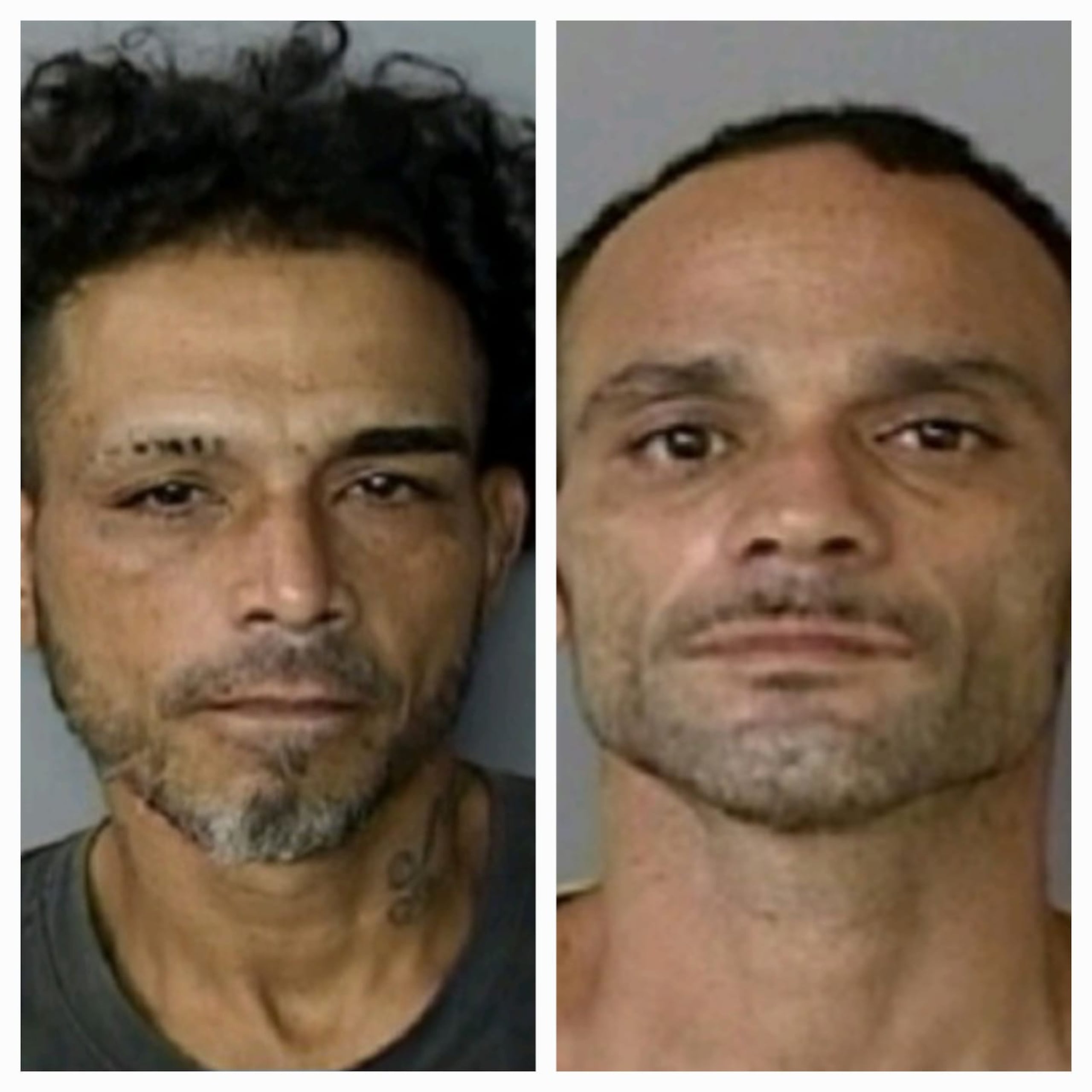 Los fugitivos Pedro Omar Rodríguez Montalvo de 42 años y Guadalupe Castillo Rivera de 49 años, fueron arrestados en Mauagüez y Nueva York, respectivamente.