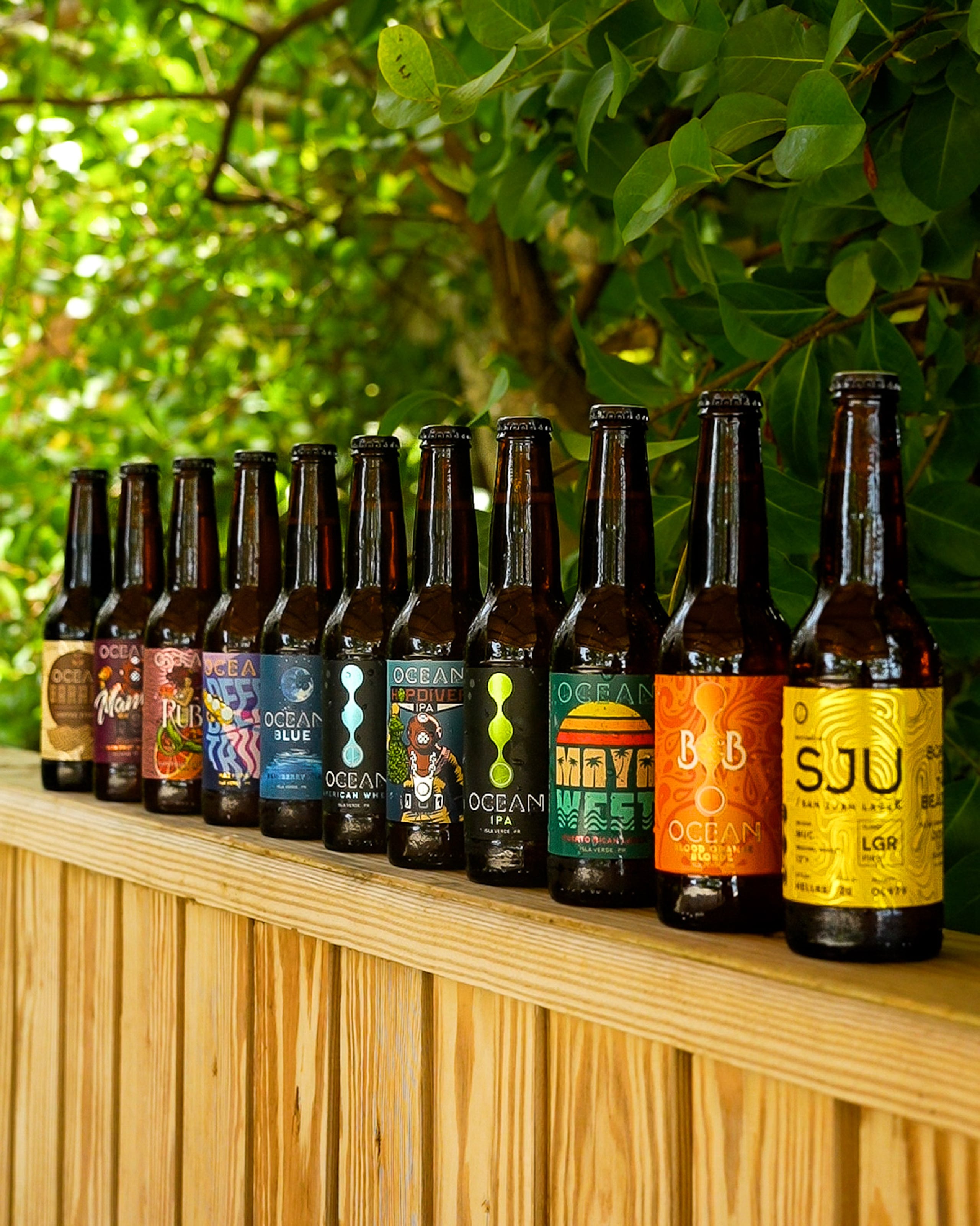 El Ocean Lab Beer Fest 2024 reunirá a 17 cervecerías artesanales que transforman la escena cervecera local