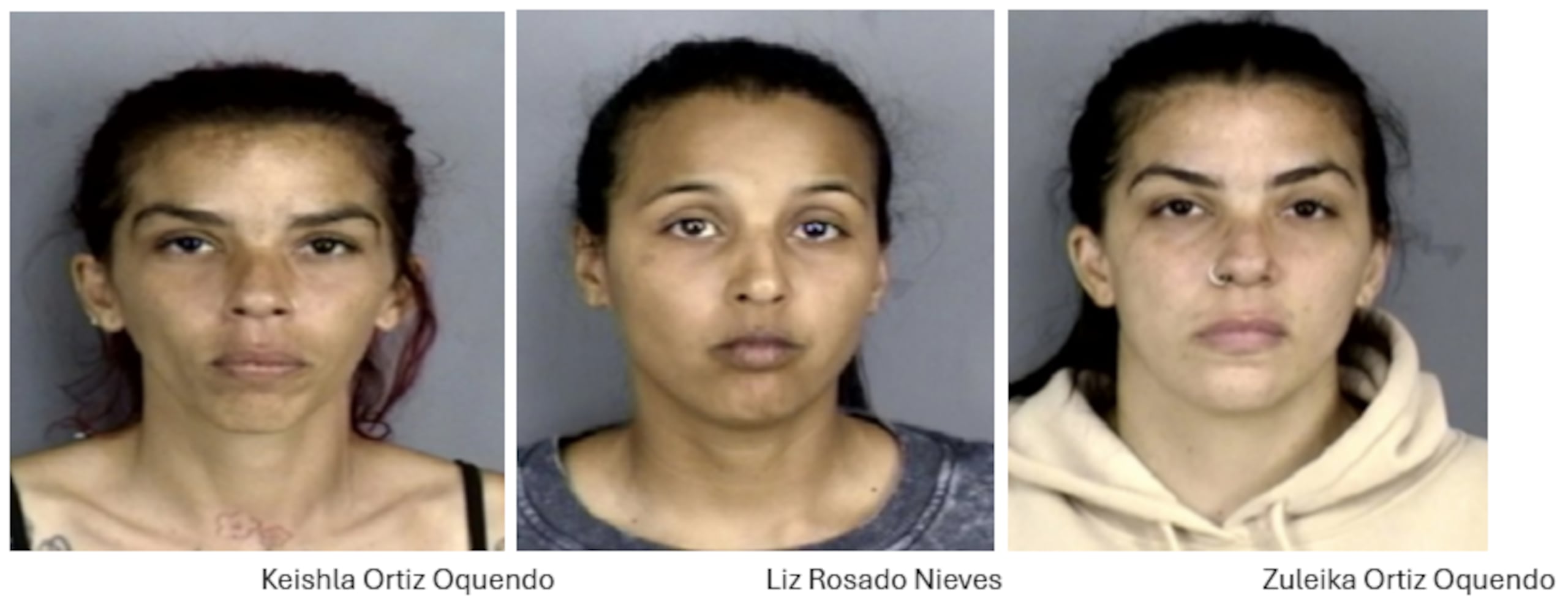 Agentes adscritos a la División de Inteligencia y Arrestos Especiales de Bayamón diligenciaron órdenes de arresto contra Keishla Ortiz Oquendo, de 36 años y vecina de Bayamón; Liz Rosado Nieves, de 32 y de Bayamón; y Zuleika Ortiz Oquendo, de 36 años y de Toa Baja.