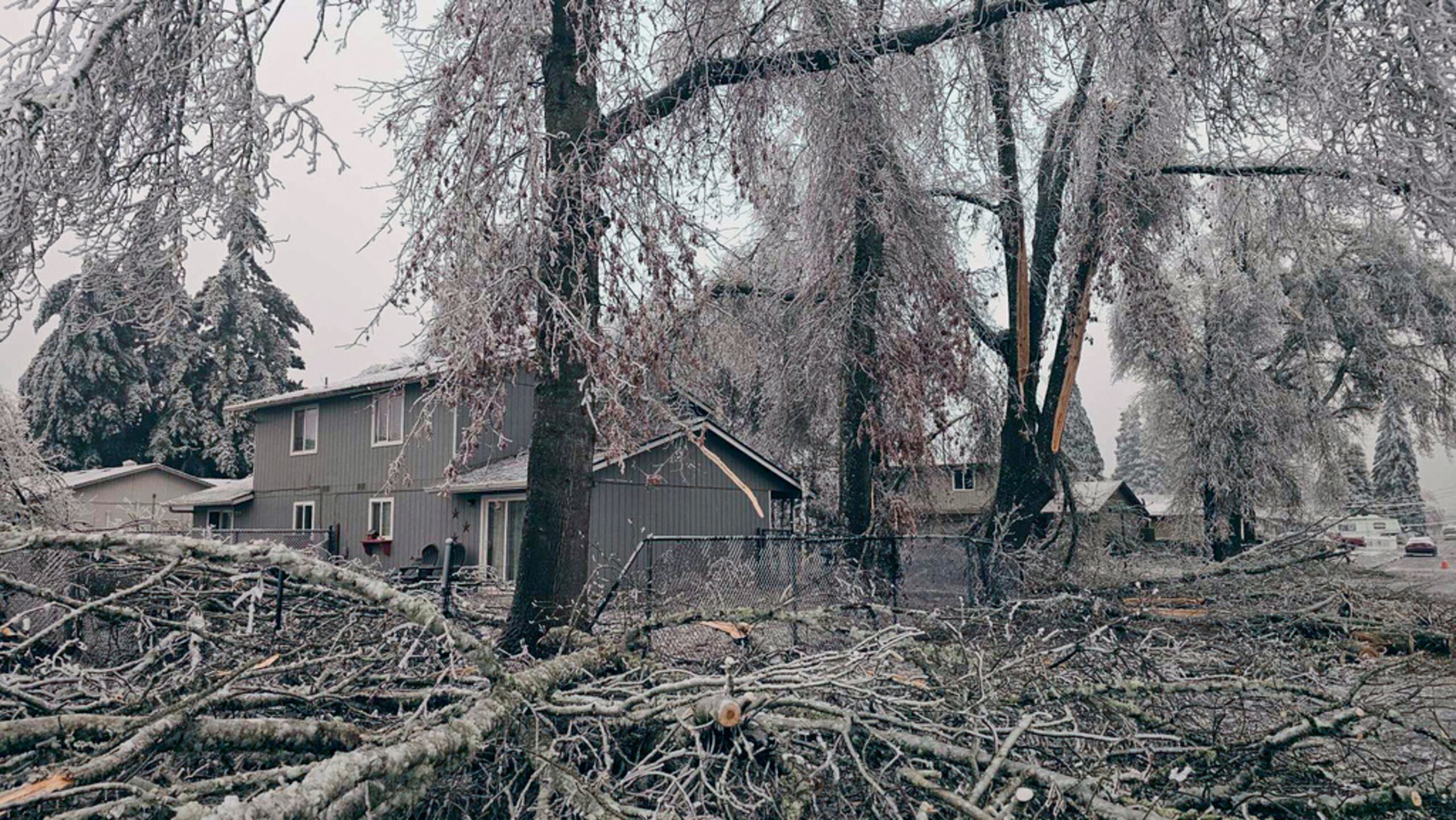 Ramas caídas y árboles cubiertos de hielo debido a una ola de frío, el 16 de enero de 2024 en Creswell, Oregon.
