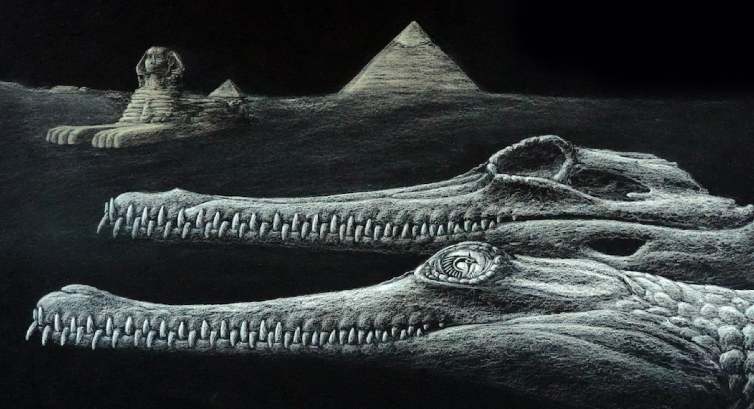 Nueva especie de cocodrilo descubierta en Egipto.