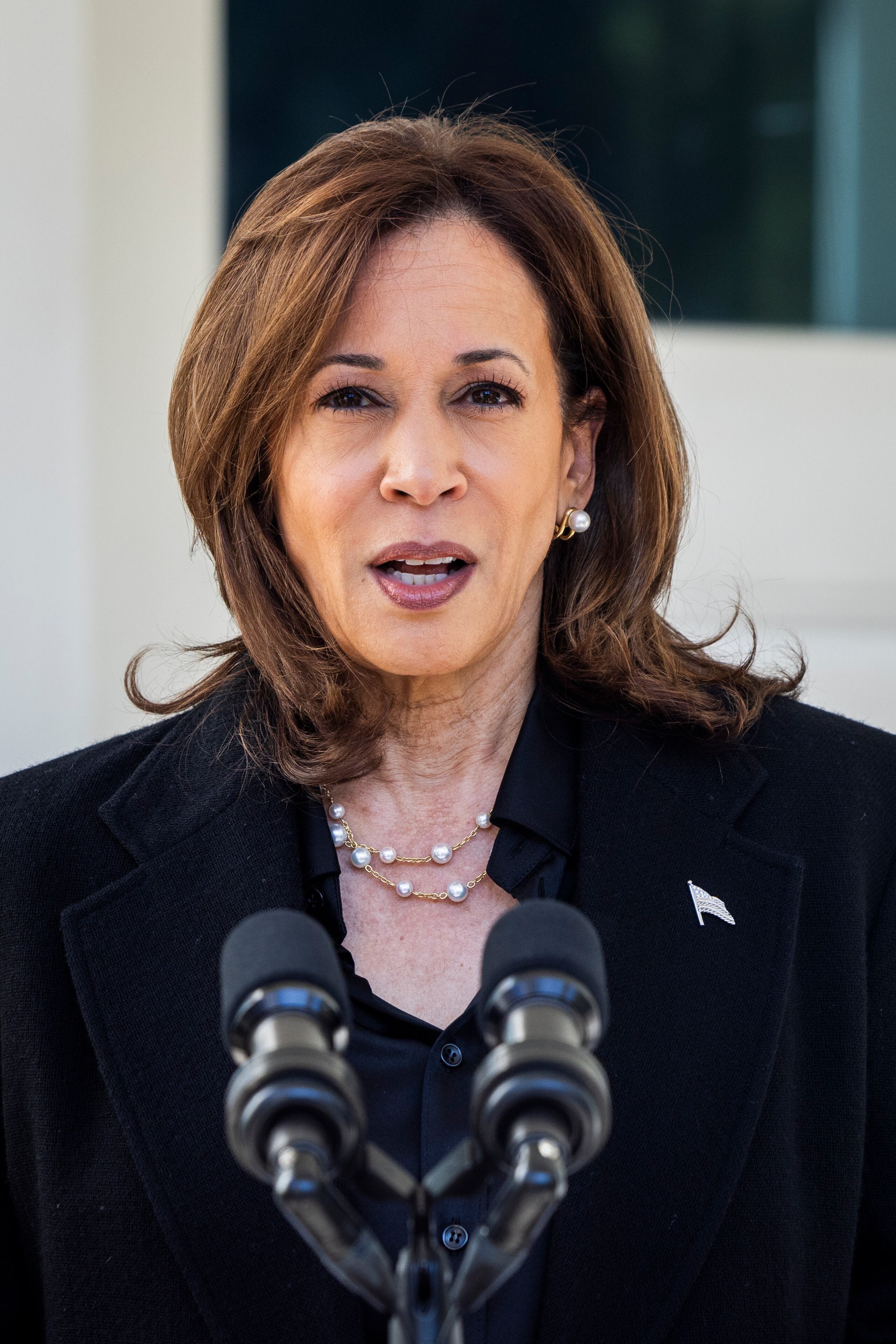 Harris aseguró que de ser electa presidenta, creará un nuevo grupo de trabajo sobre la economía de oportunidades para Puerto Rico.