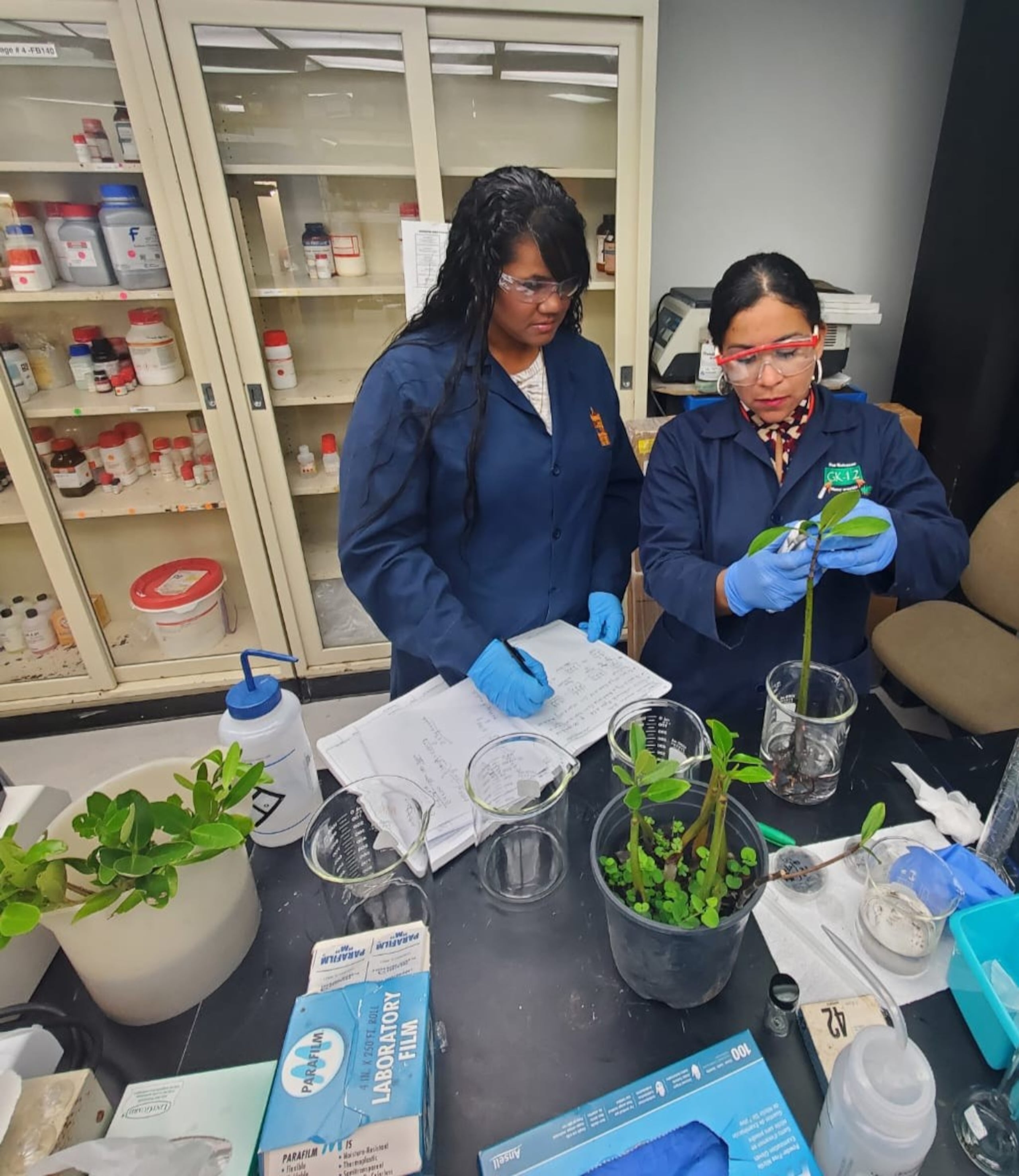 La estudiante doctoral Dinora Martínez Torres, y la doctora Keyla Soto Hidalgo, investigadora del Centro de Nanotecnología Ambiental (CIRE2N), podrán utilizar el CLS en su investigación hasta el 27 de julio.