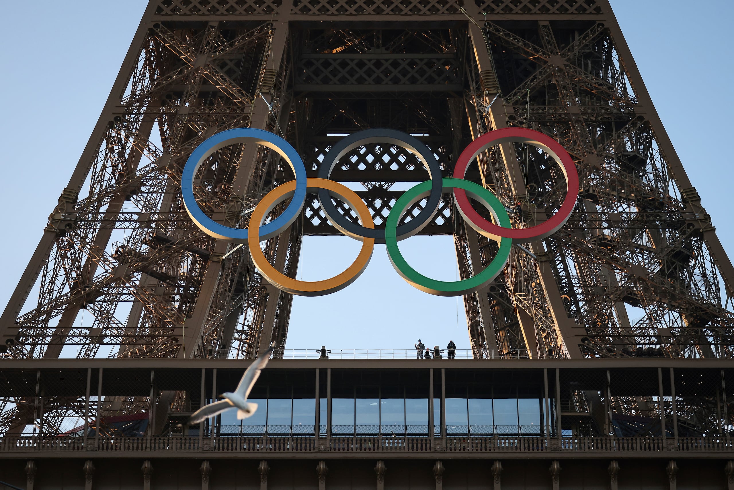 Así lucen los anillos sobre la Torre Eiffel en la ciudad sede de las Olimpiadas.