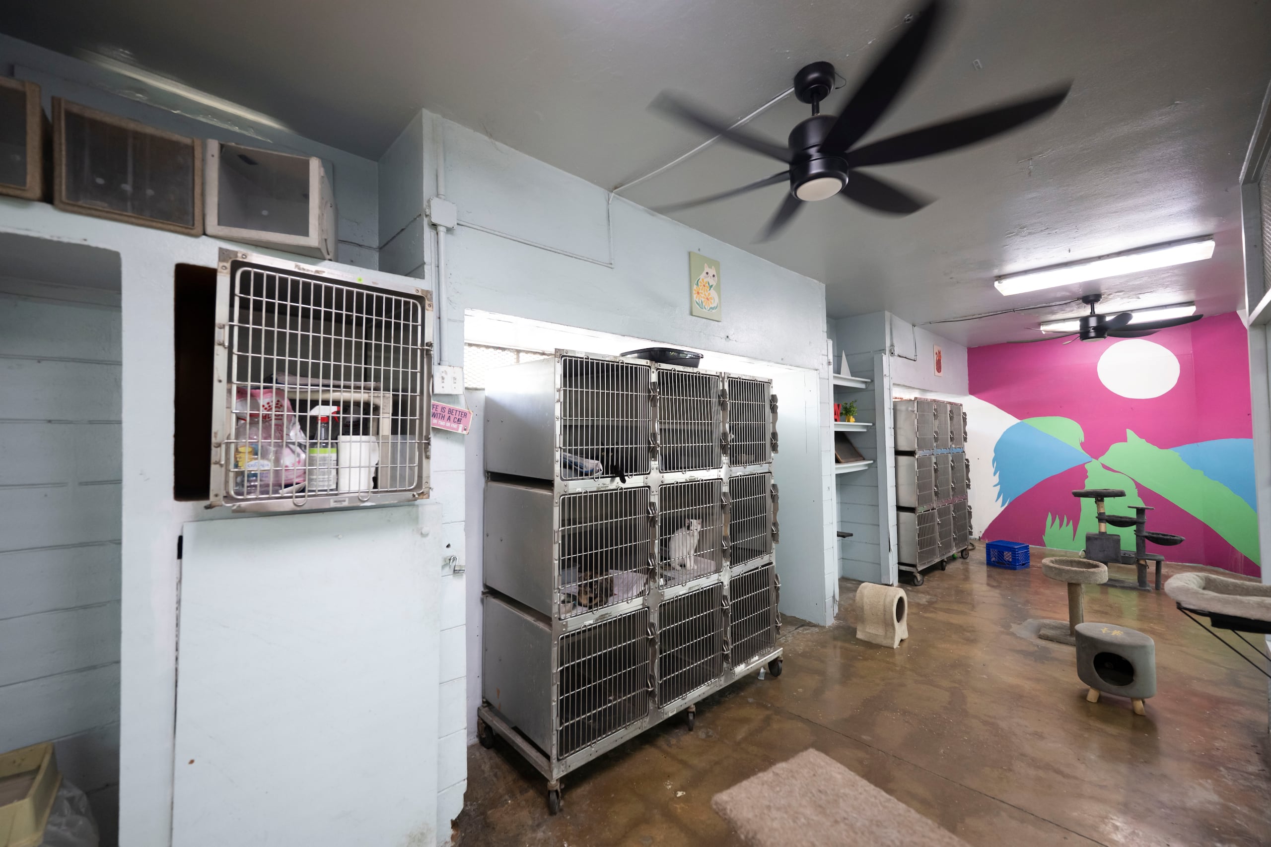 Parte de las remozadas instalaciones.