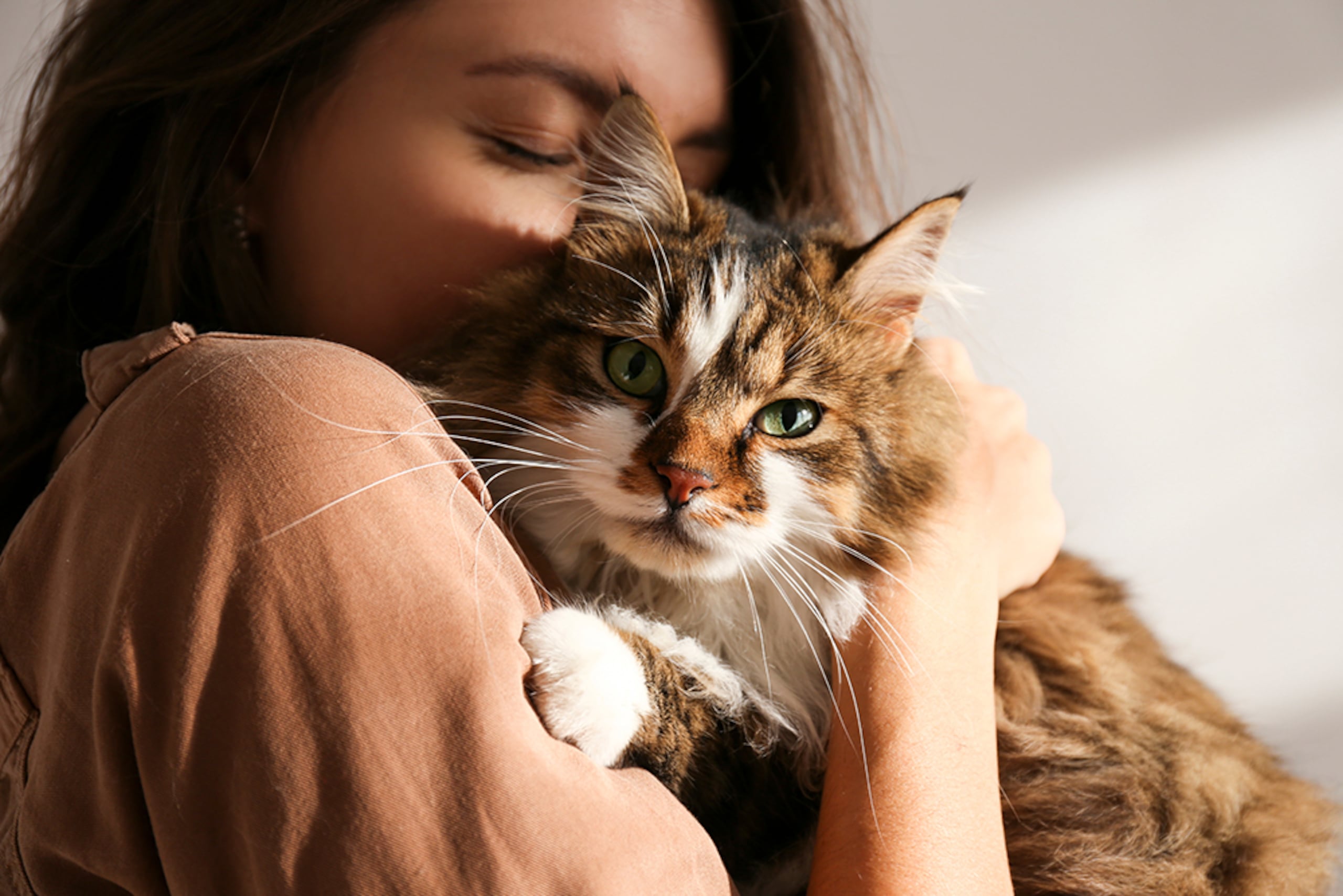 Identificar cambios a tiempo y tomar decisiones como la esterilización temprana, los chequeos veterinarios y una nutrición adaptada a cada etapa puede contribuir a su bienestar