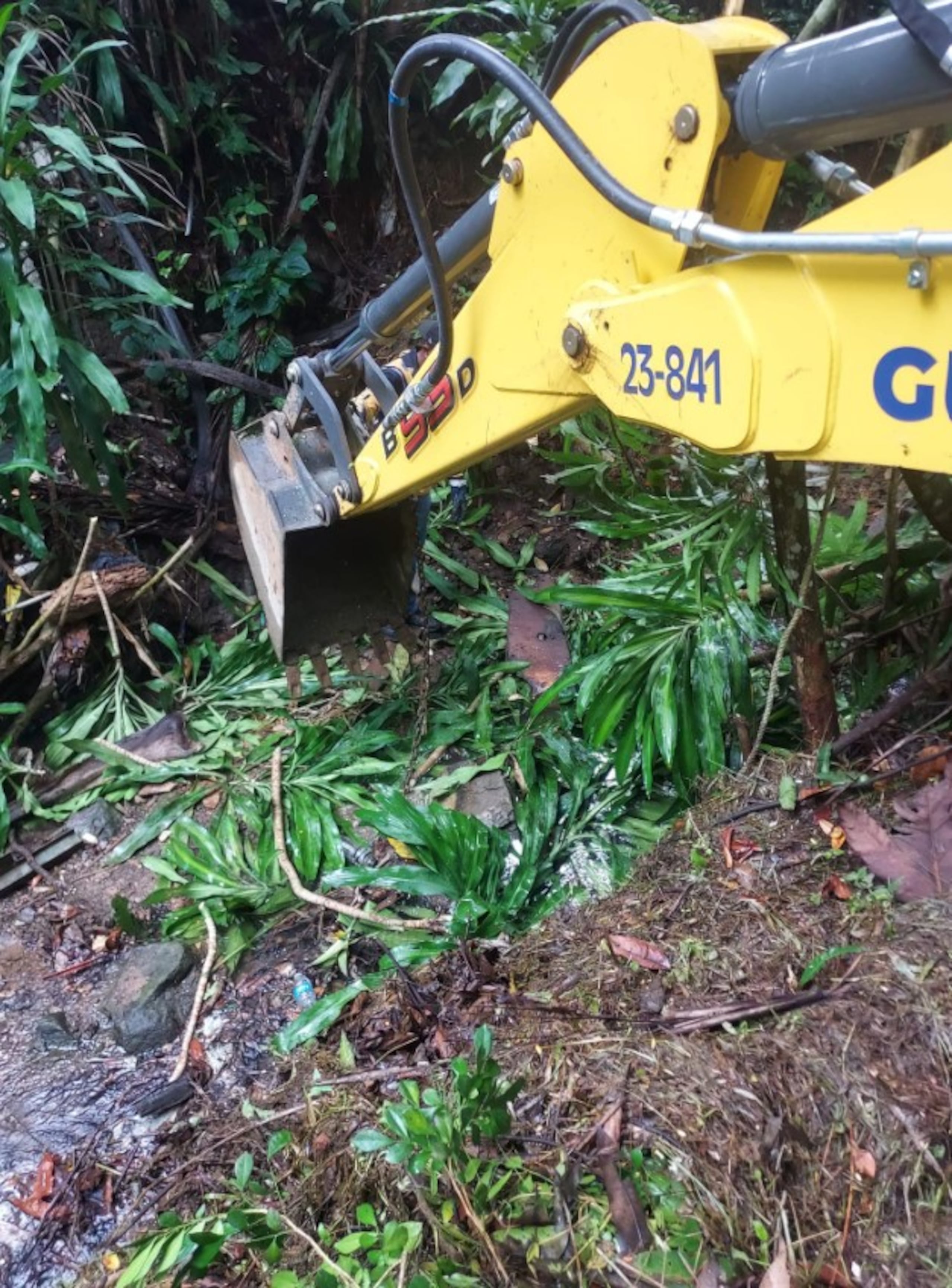 En Gurabo, personal municipal realizó una limpieza en la quebrada del sector Tamarindo del barrio Camarones, como medida de mitigación contra inundaciones.