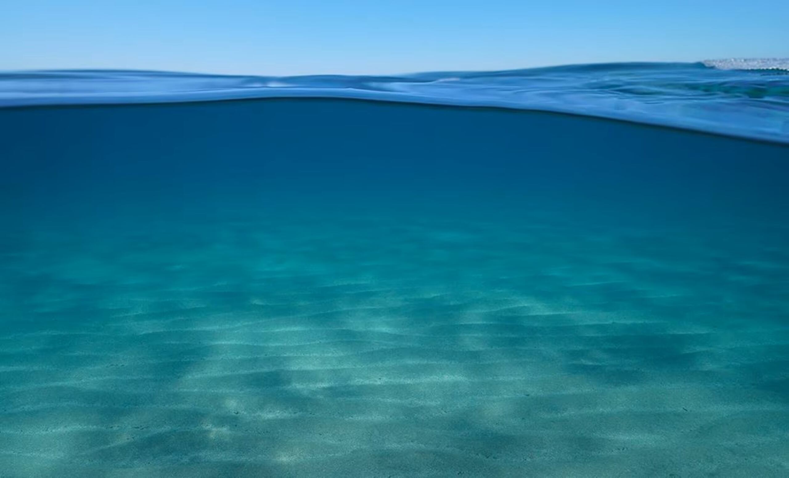 Los científicos dicen que alrededor del 56% de los océanos han variado en su coloración.