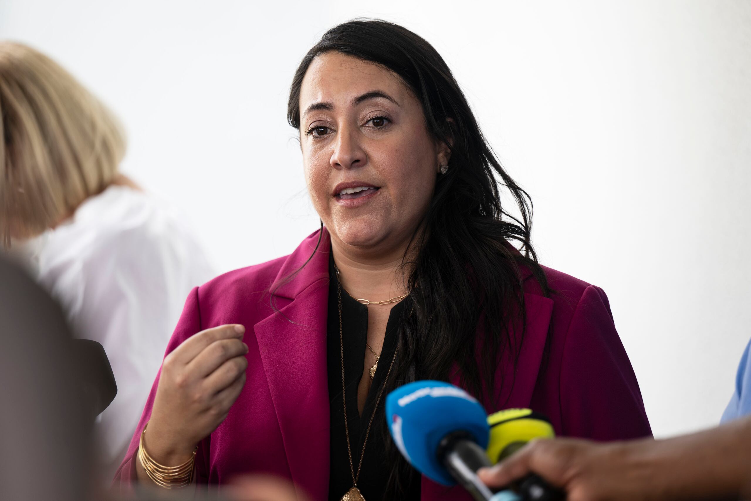 La comisionada del Movimiento Victoria Cuidadana (MVC), Lillian Aponte Dones.