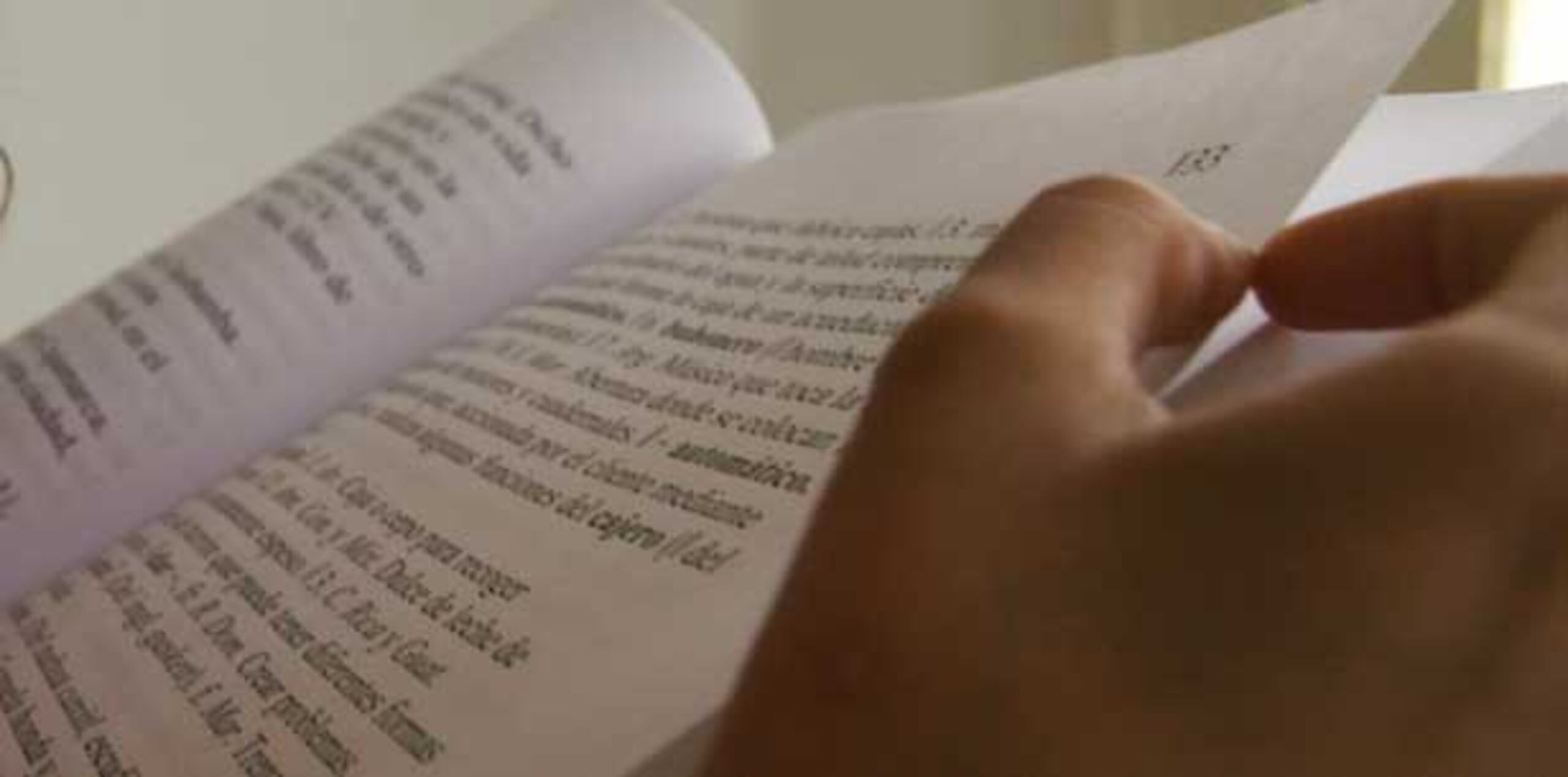 El director de la Academia Puertorriqueña de la Lengua Española, doctor José Luis Vega, señaló en comunicado de prensa que “la presentación de esta obra sobre el léxico vivo dominicano contribuye al estudio y a la puesta en valor de la modalidad del español que hablamos en el Caribe, lo que constituye uno de los objetivos fundamentales de nuestra Academia”. (Archivo)