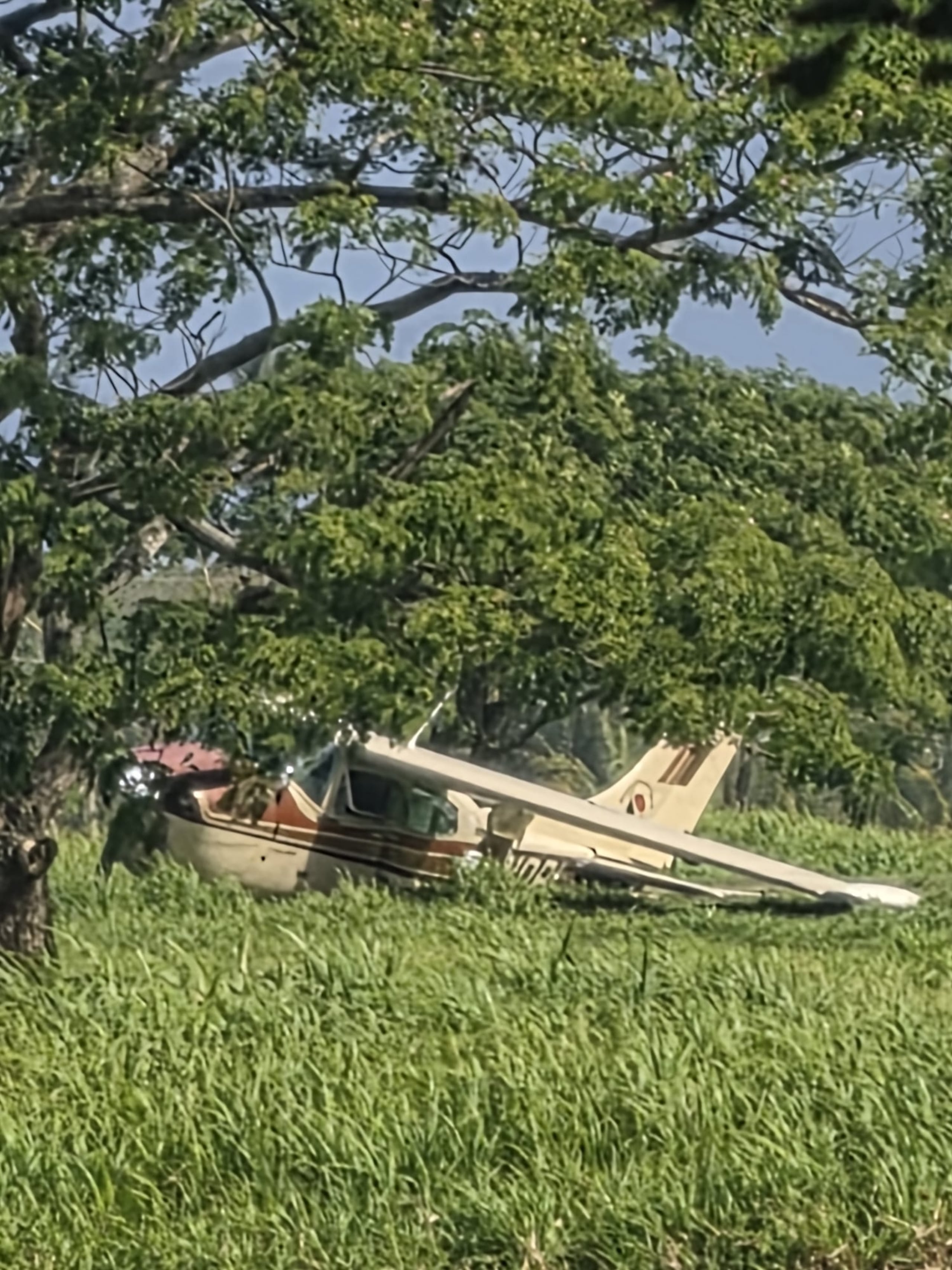 Así quedó la avioneta accidentada en Piñones, Loíza, en la mañana de este sábado.