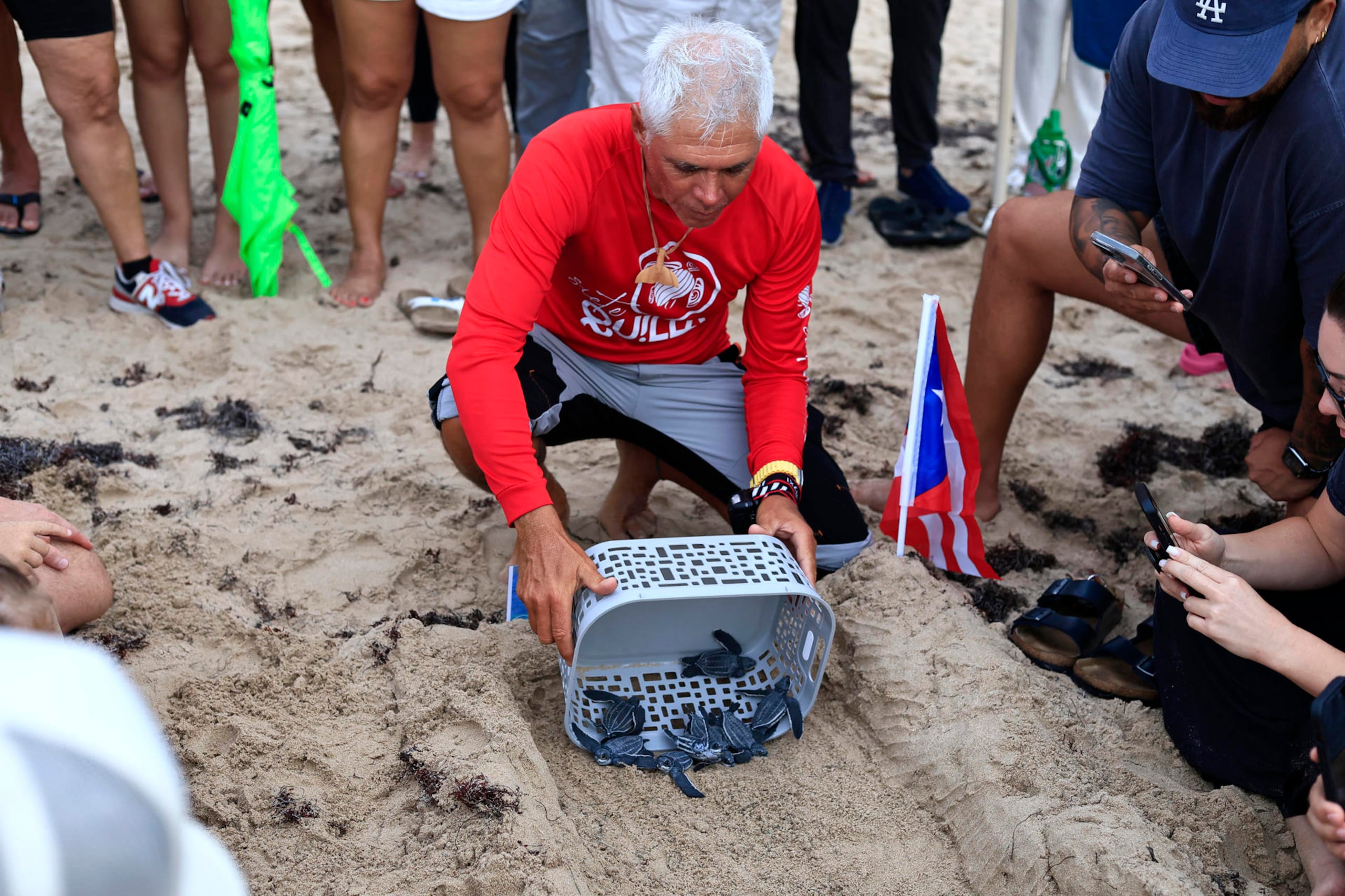 Fotografía del 29 de junio de 2026 que muestra a Eduardo Álvarez, integrante del Grupo Tortuguero 7 Quillas, liberando crías de tortuga Tinglar en la playa Ocean Park en San Juan (Puerto Rico). Las playas de Puerto Rico se convierten durante el estío en aulas al aire libre donde se inculca a los niños la protección de las tortugas tinglares, mientras se supervisa que las neonatas lleguen sanas y salvas al mar tras la eclosión de los nidos. EFE/ Thais Llorca