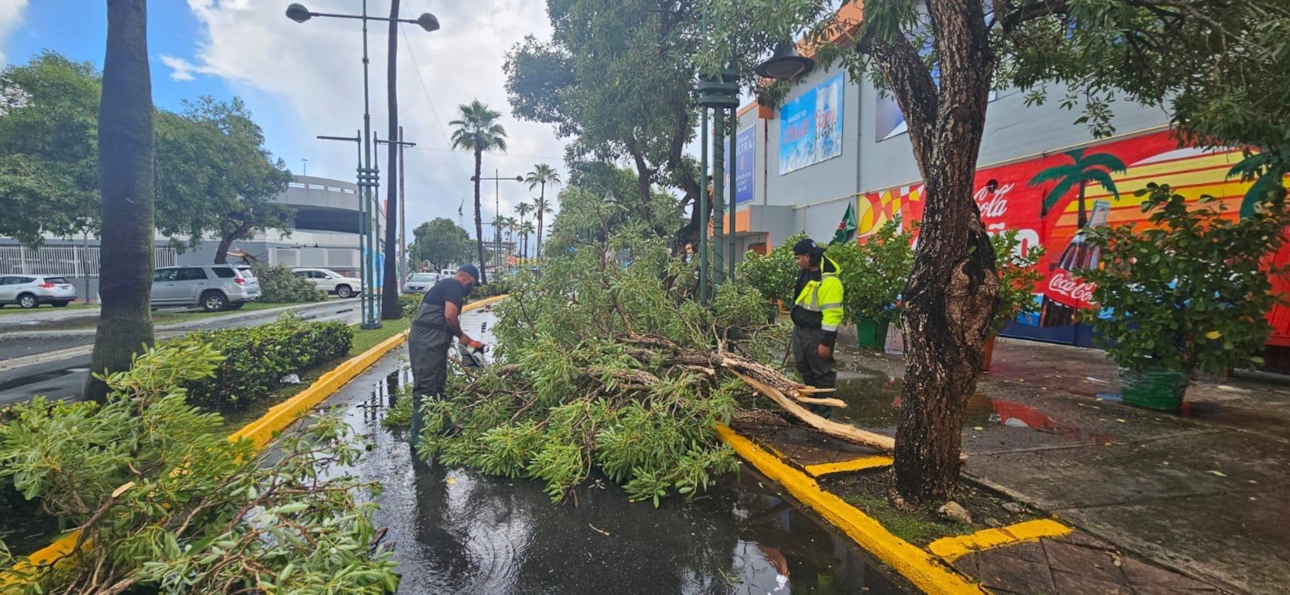 El municipio se movió rápidamente a despejar las vías tras el fin de la tormenta.