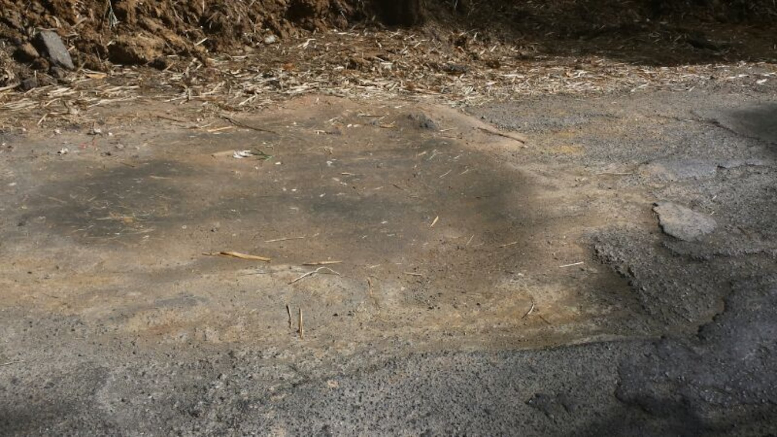 Algunas carreteras vecinales en Orocovis lucen peor que después de María, según uno de los encuestados.
