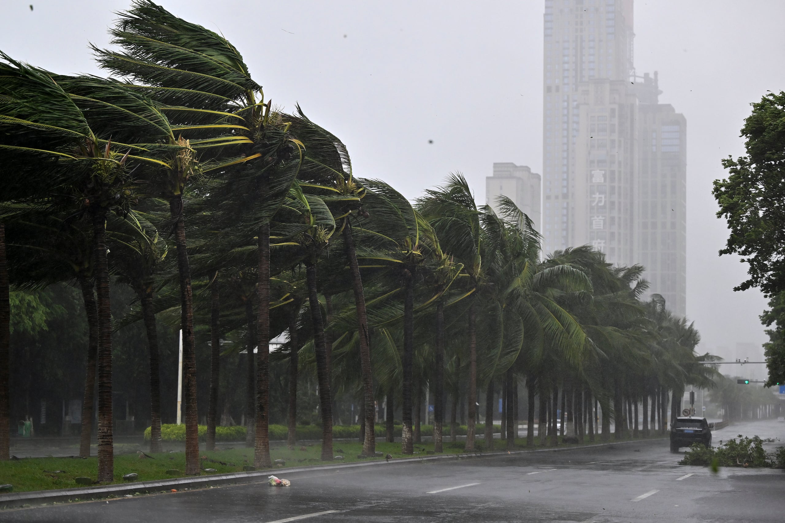 Las autoridades habían podado árboles en la capital para que fueran menos susceptibles de caer, pero el viento y la lluvia derribaron varios, además de vallas publicitarias.