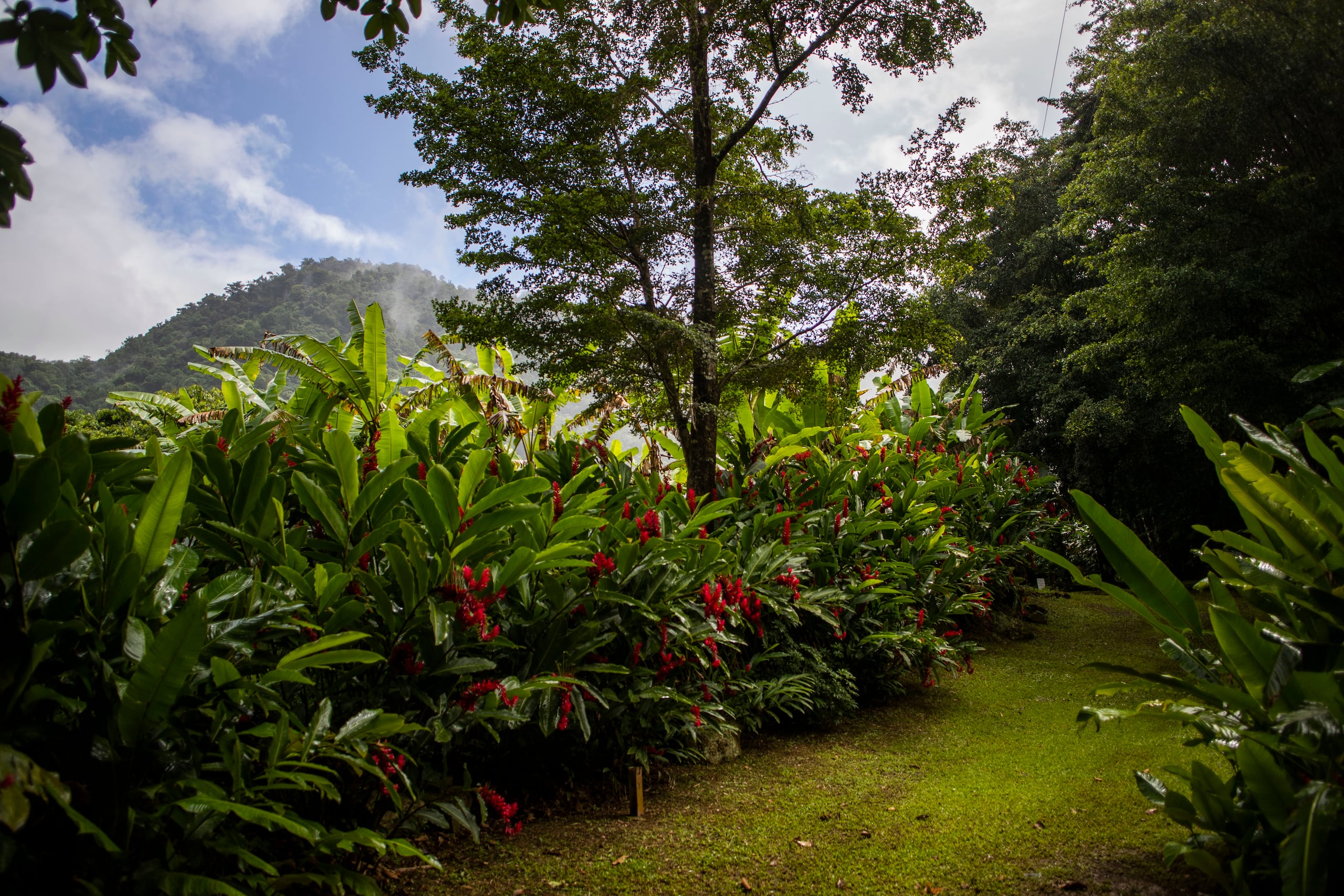 Orocovis cuenta con diversas atracciones turísticas.
