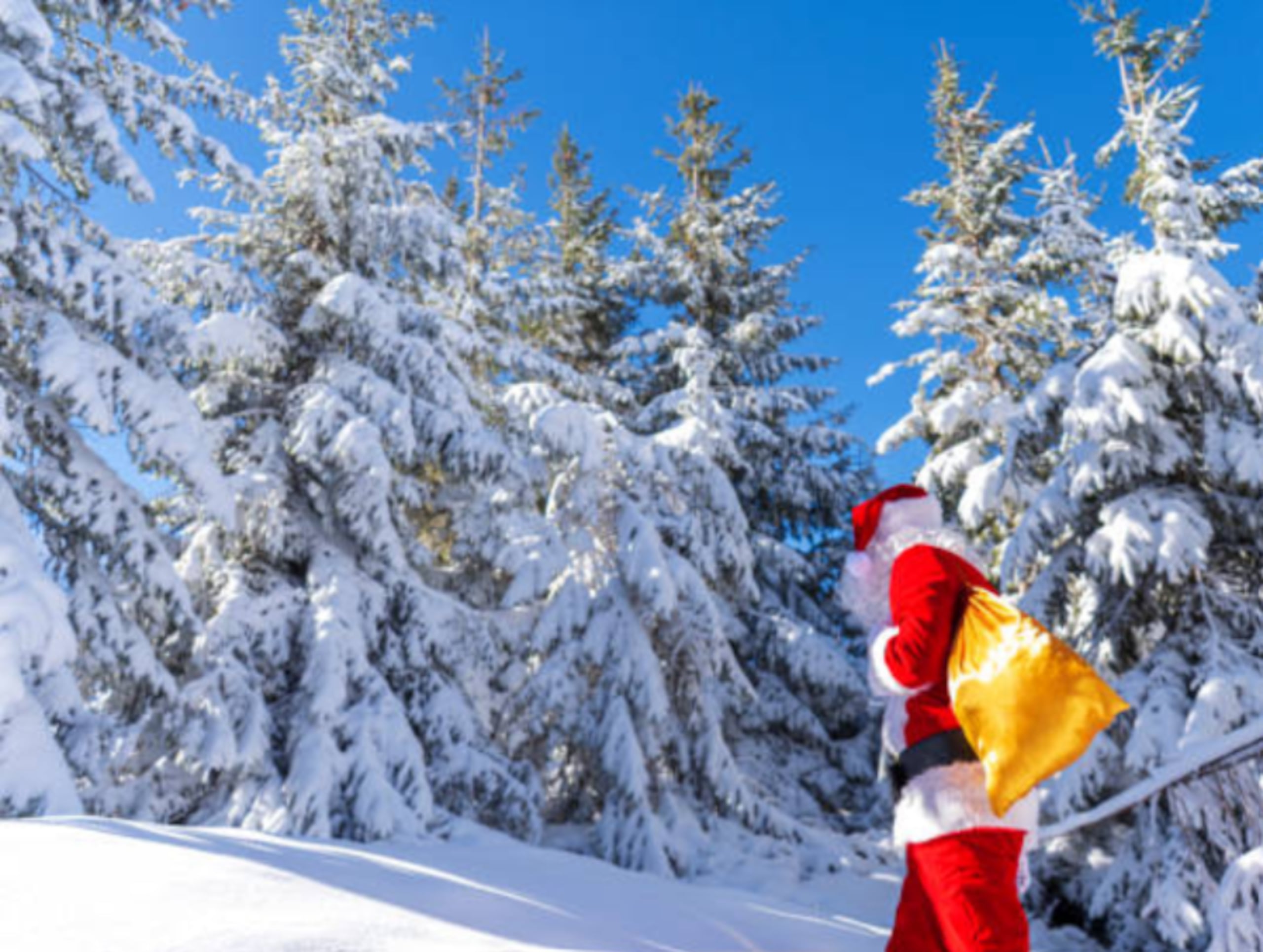 Rovaniemi atrae anualmente a más de 500,000 visitantes de todas partes del mundo.