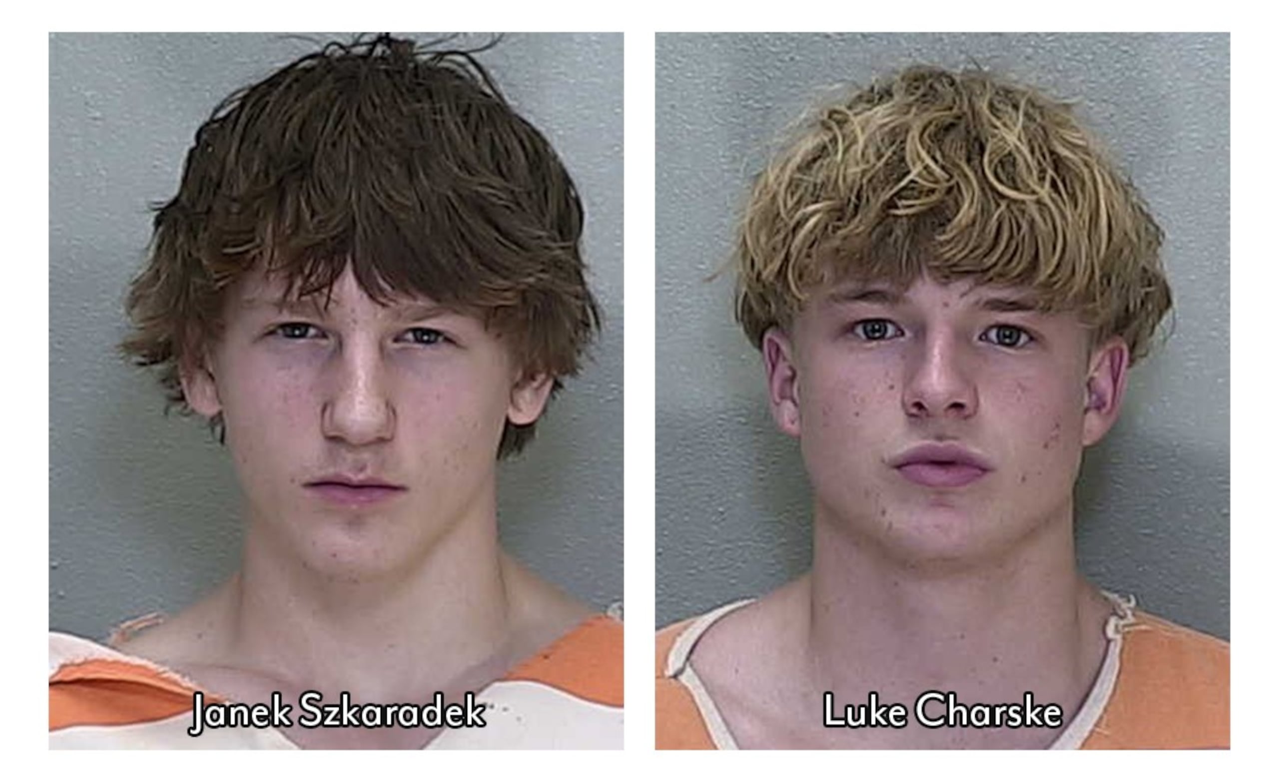 Szkaradek fue acusado de daños a la propiedad y alteración del orden público. Charske fue acusado como cómplice.