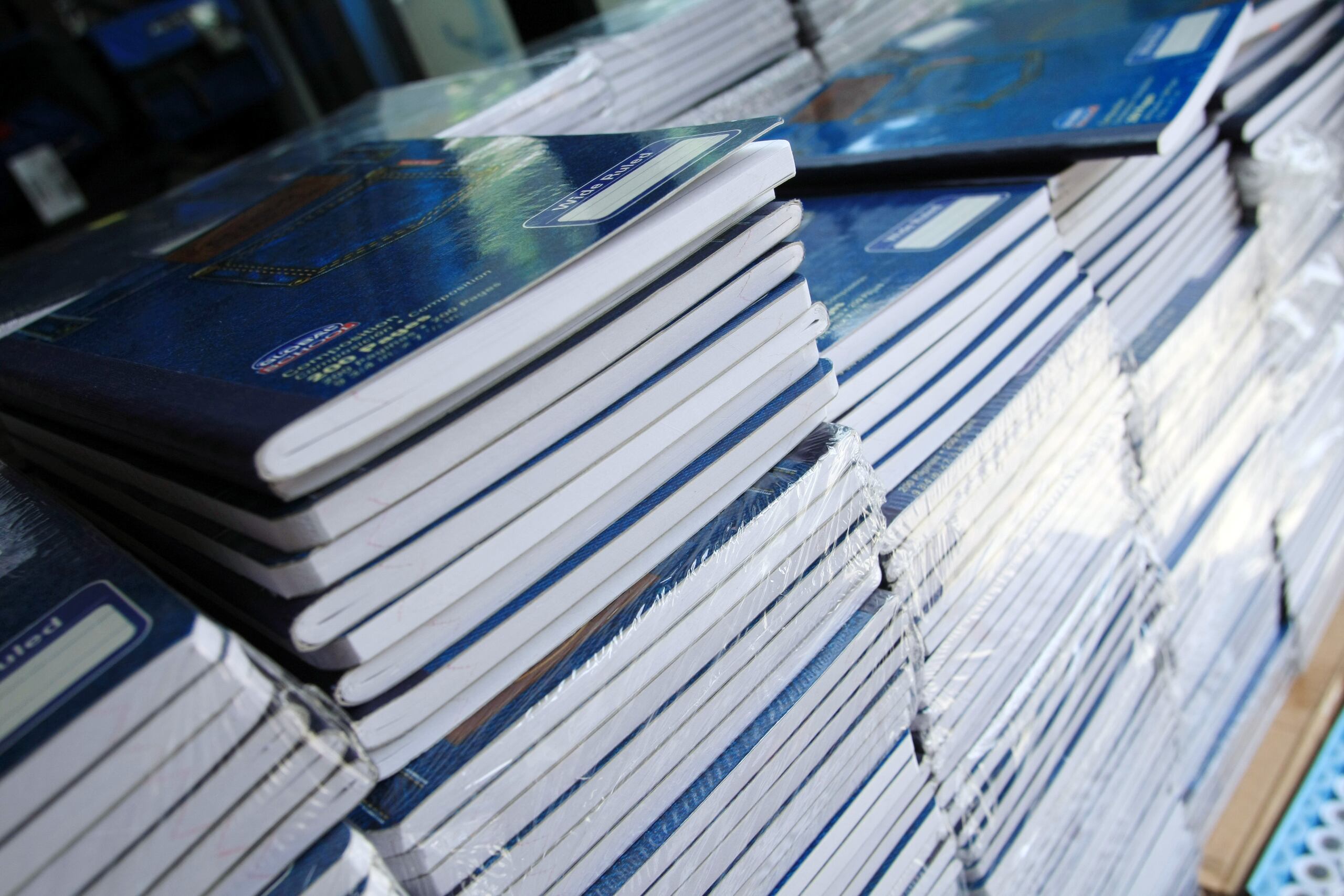 El desembolso de estos fondos del TANF, que ha destinado sobre $5.5 millones para la compra de materiales, fomenta la inversión en la educación desde el nivel preescolar hasta el superior.