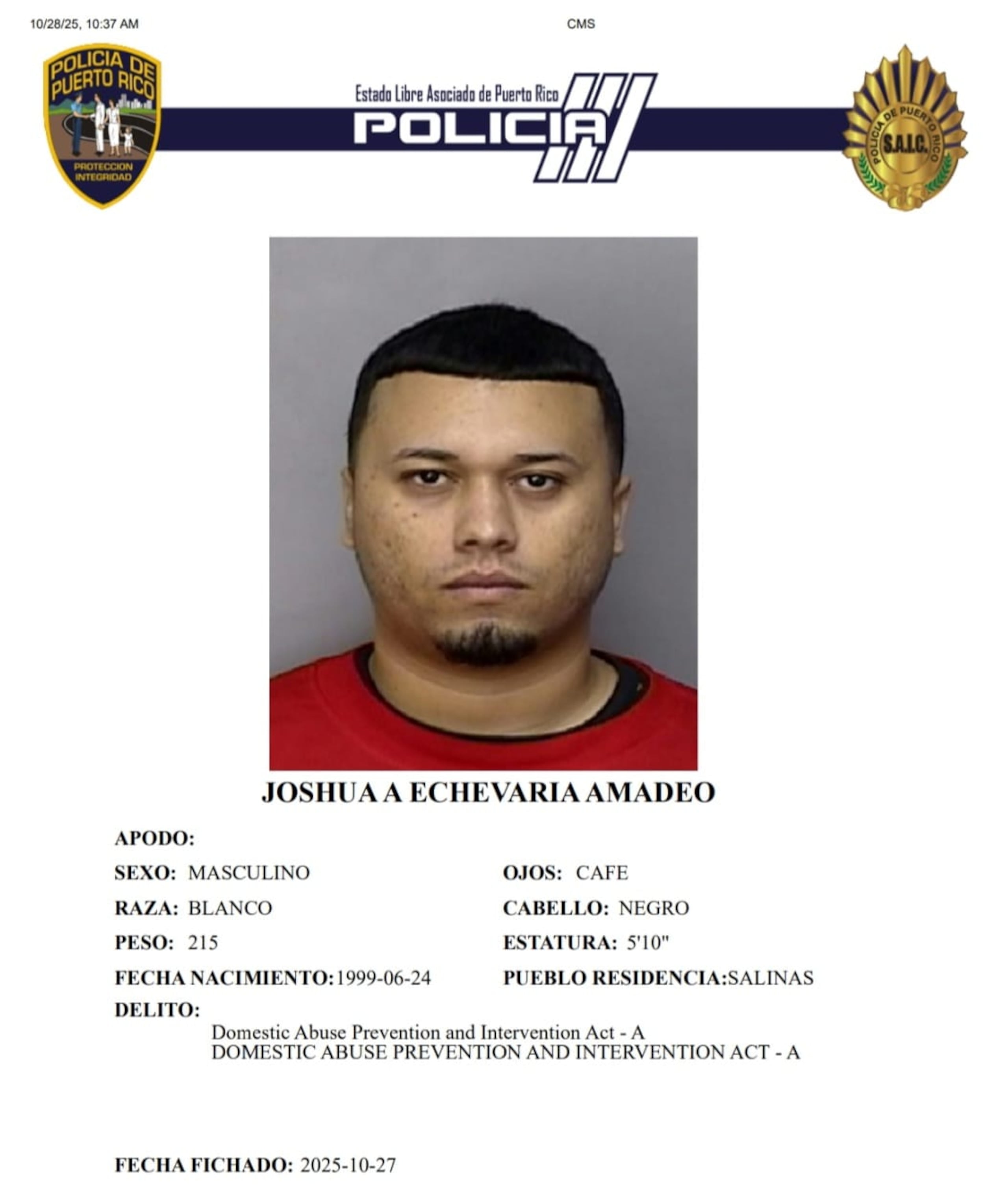 Joshua A. Echevarría Amadeo, enfrenta cargos por violencia doméstica, tras la presunta agresión a su expareja.
